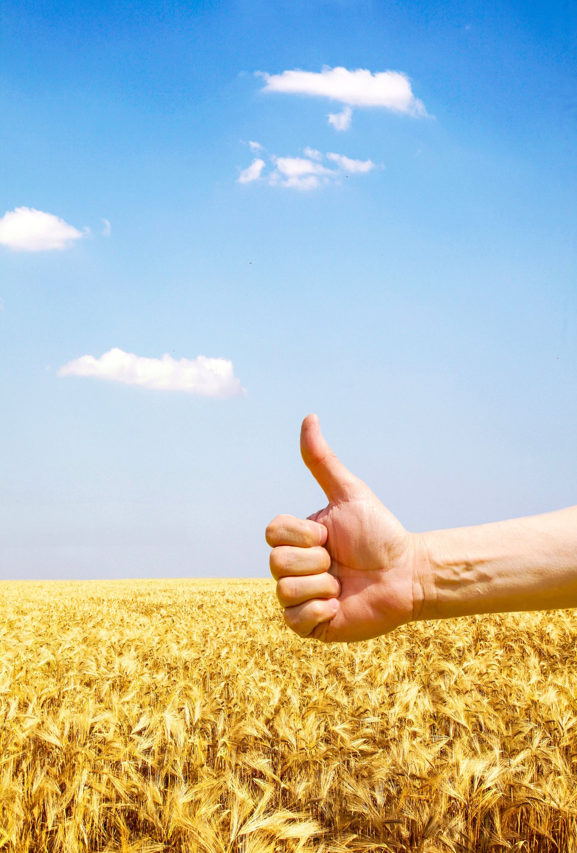 gray computer monitor