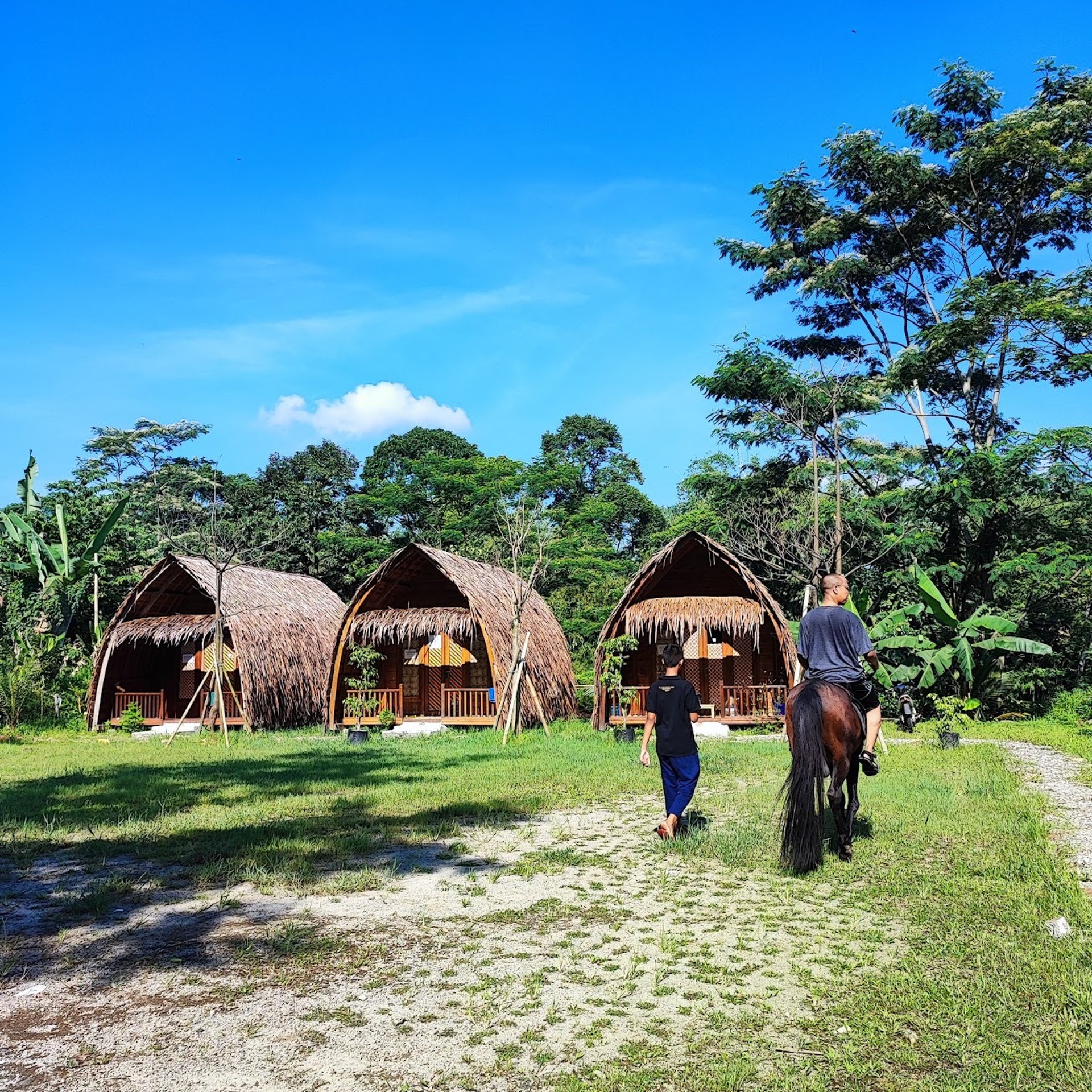 black and brown leather padded tub sofa