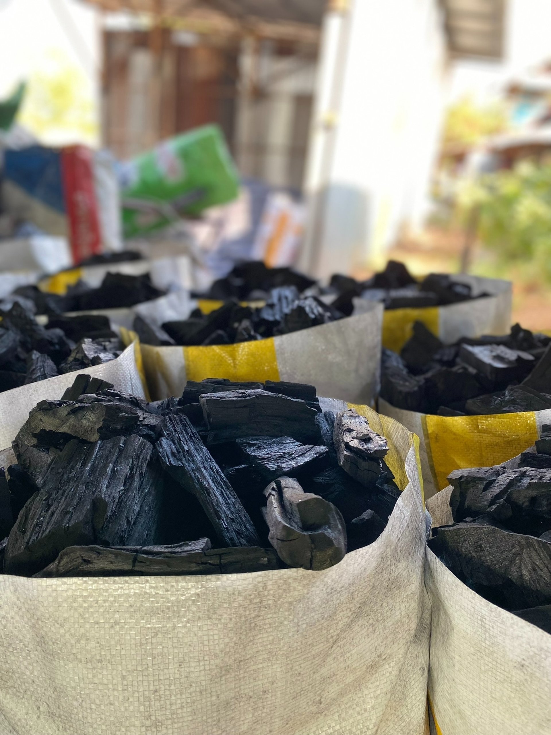 an abstract photo of a curved building with a blue sky in the background