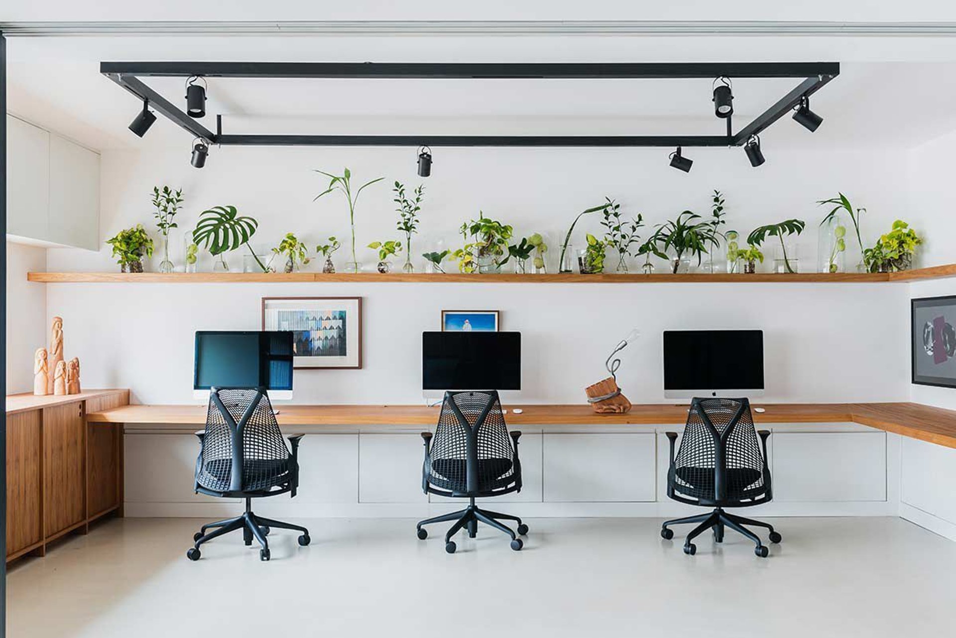 people doing office works