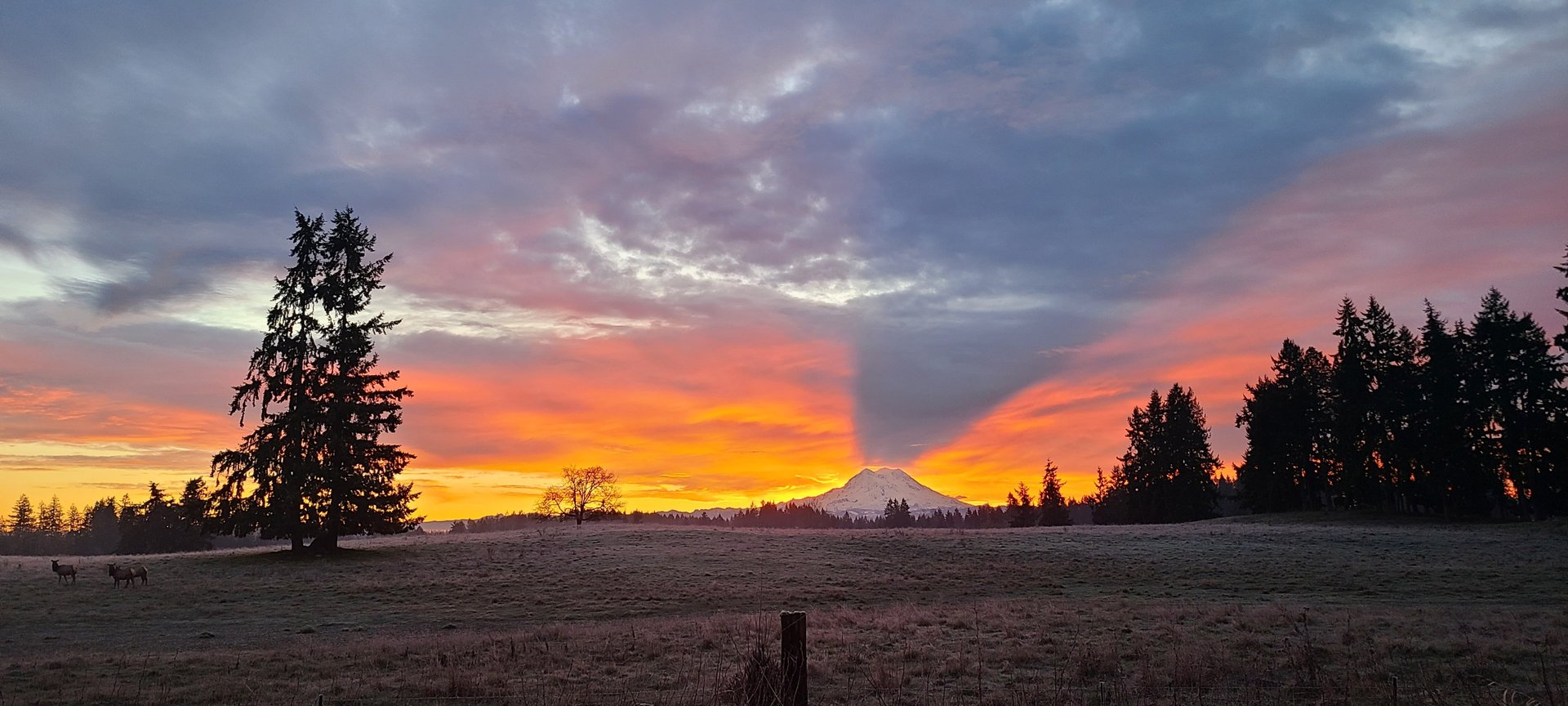 black and brown leather padded tub sofa