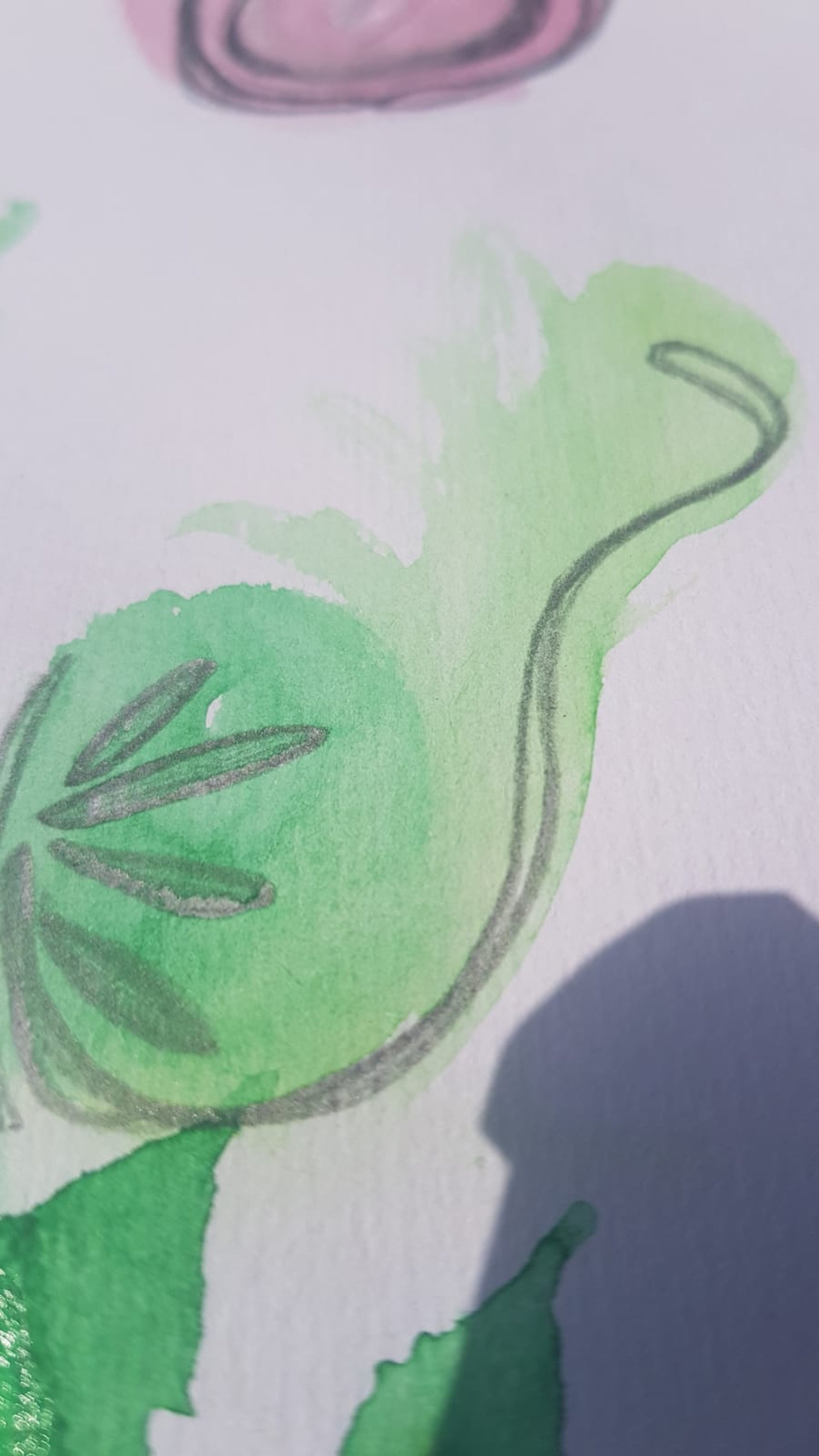 Explorations et expression