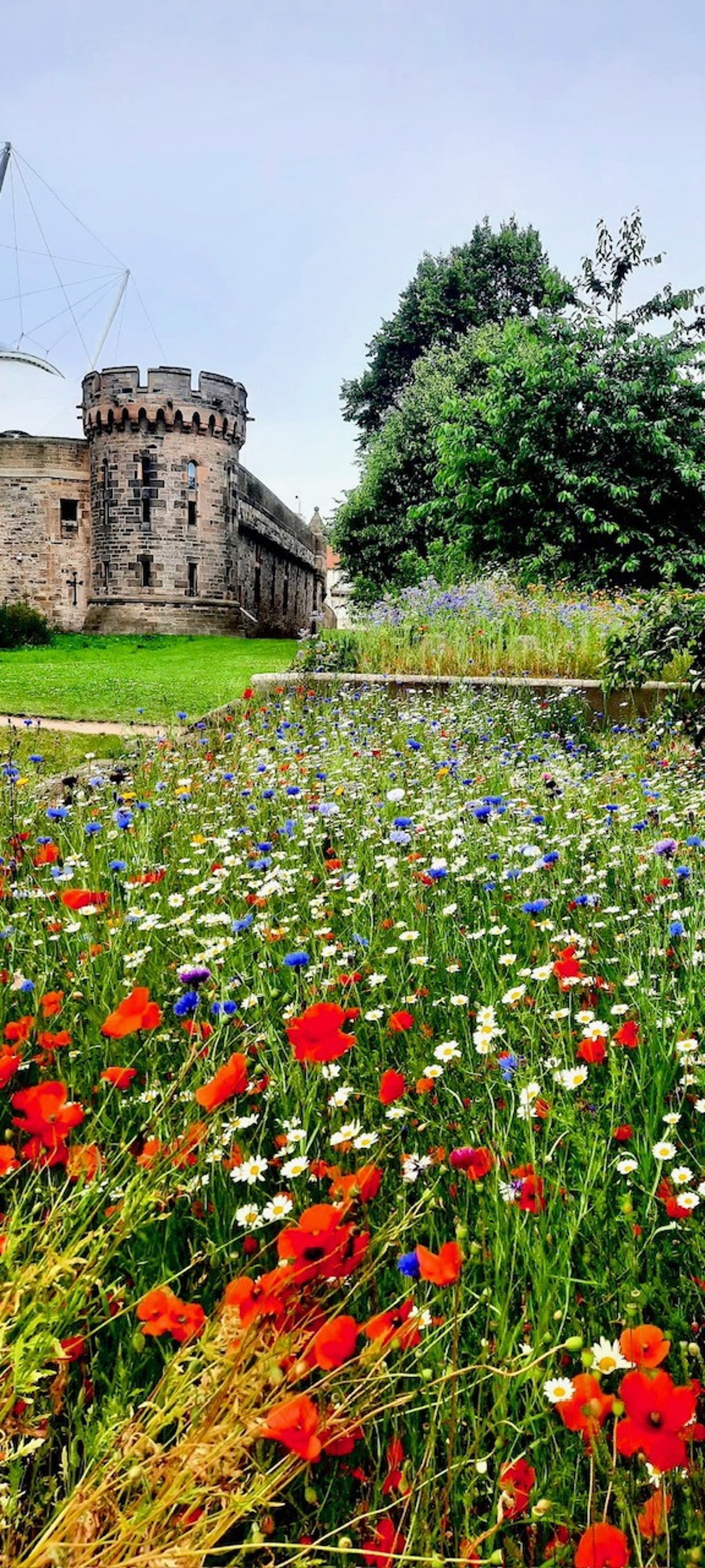 black blue and yellow textile