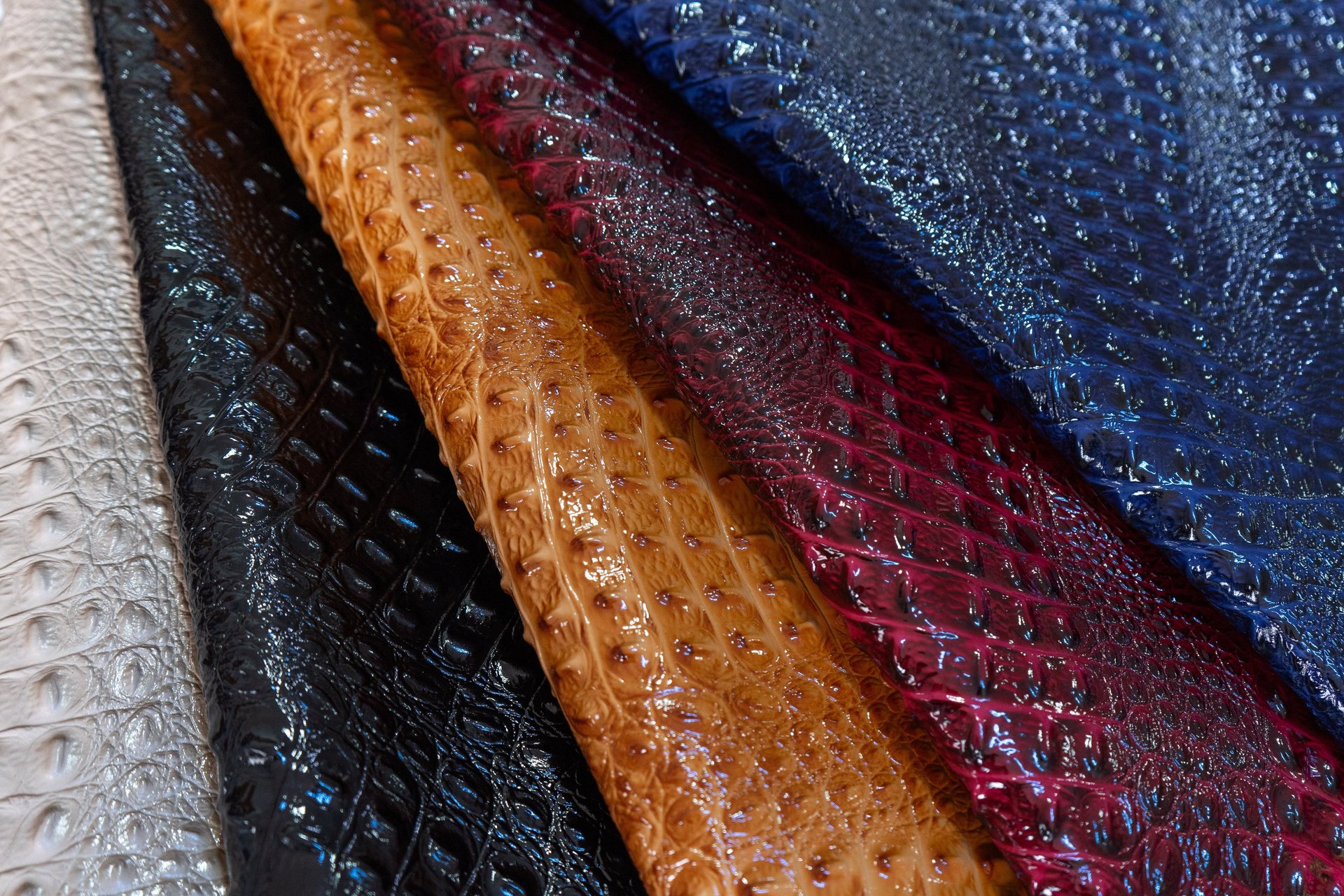 Tienda de Procpieles en Bogotá en el barrio Restrepo