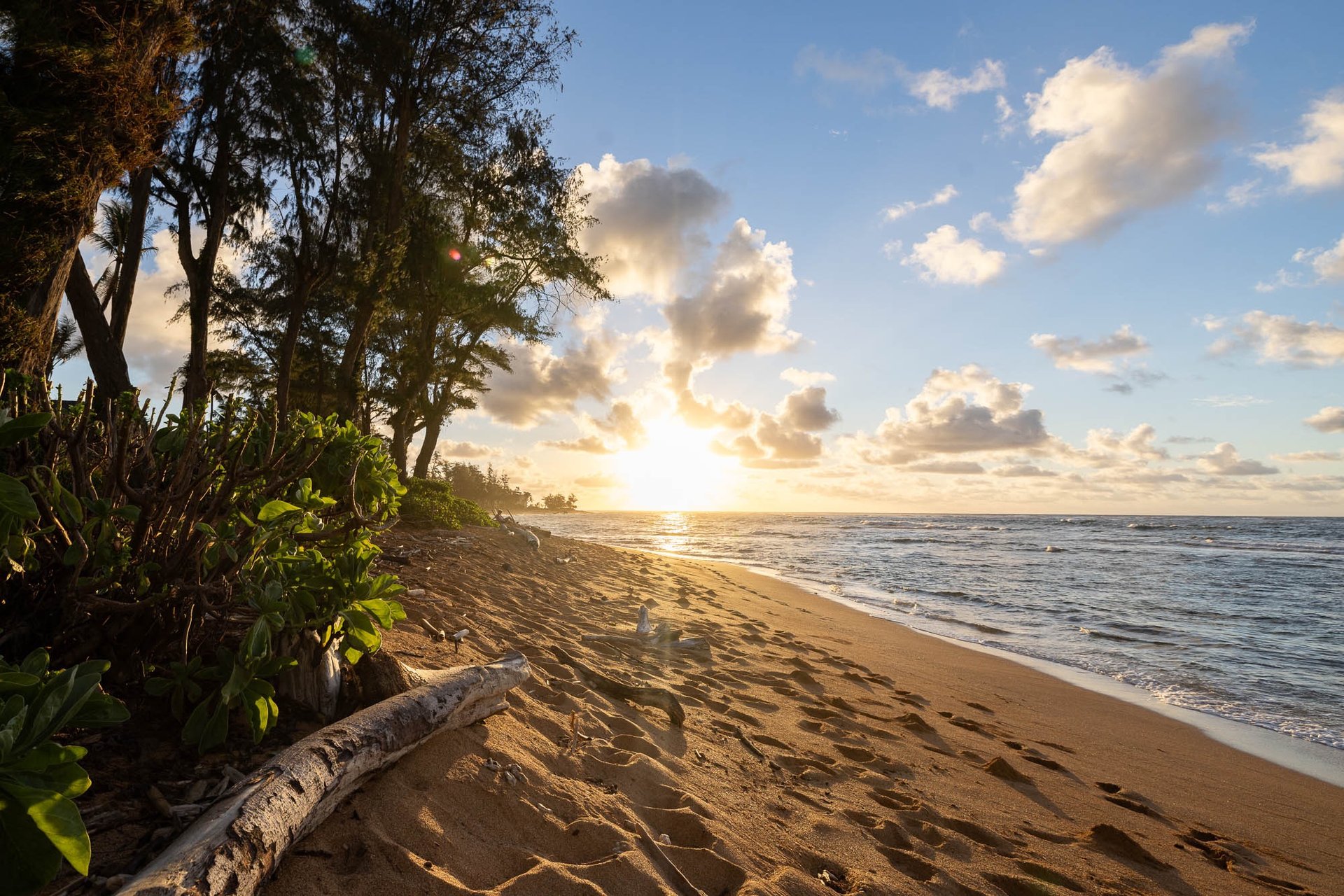 an abstract photo of a curved building with a blue sky in the background