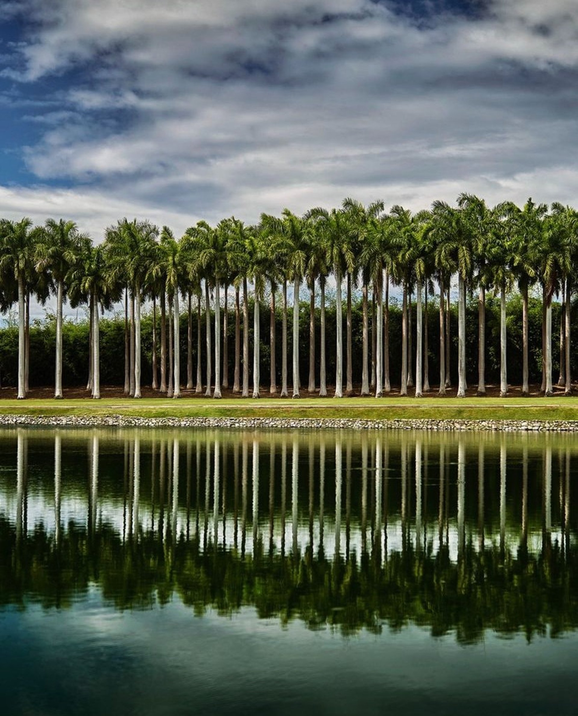 an abstract photo of a curved building with a blue sky in the background