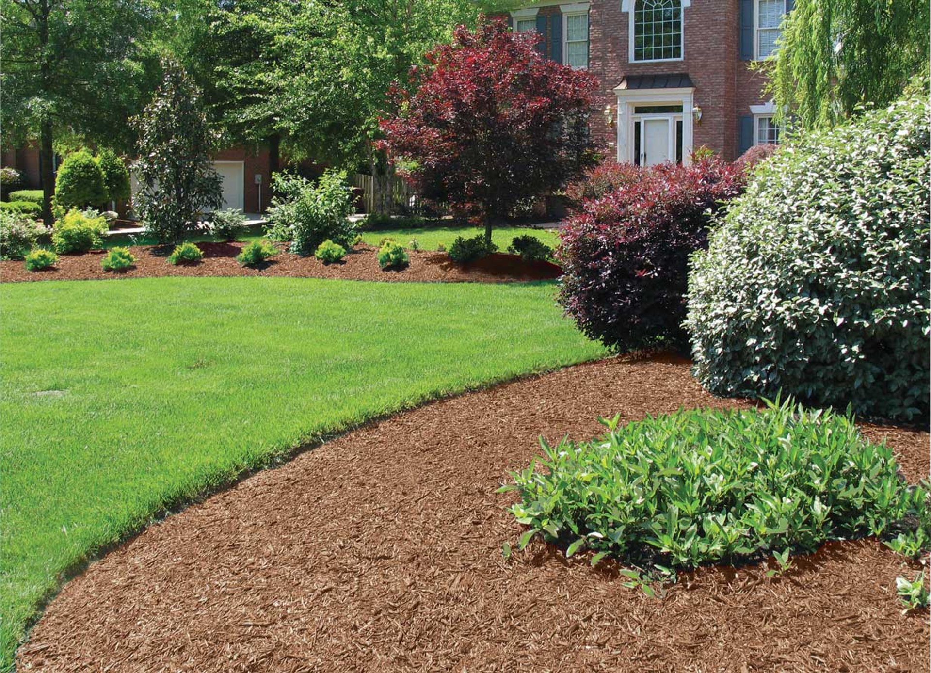green grass field with green trees and plants