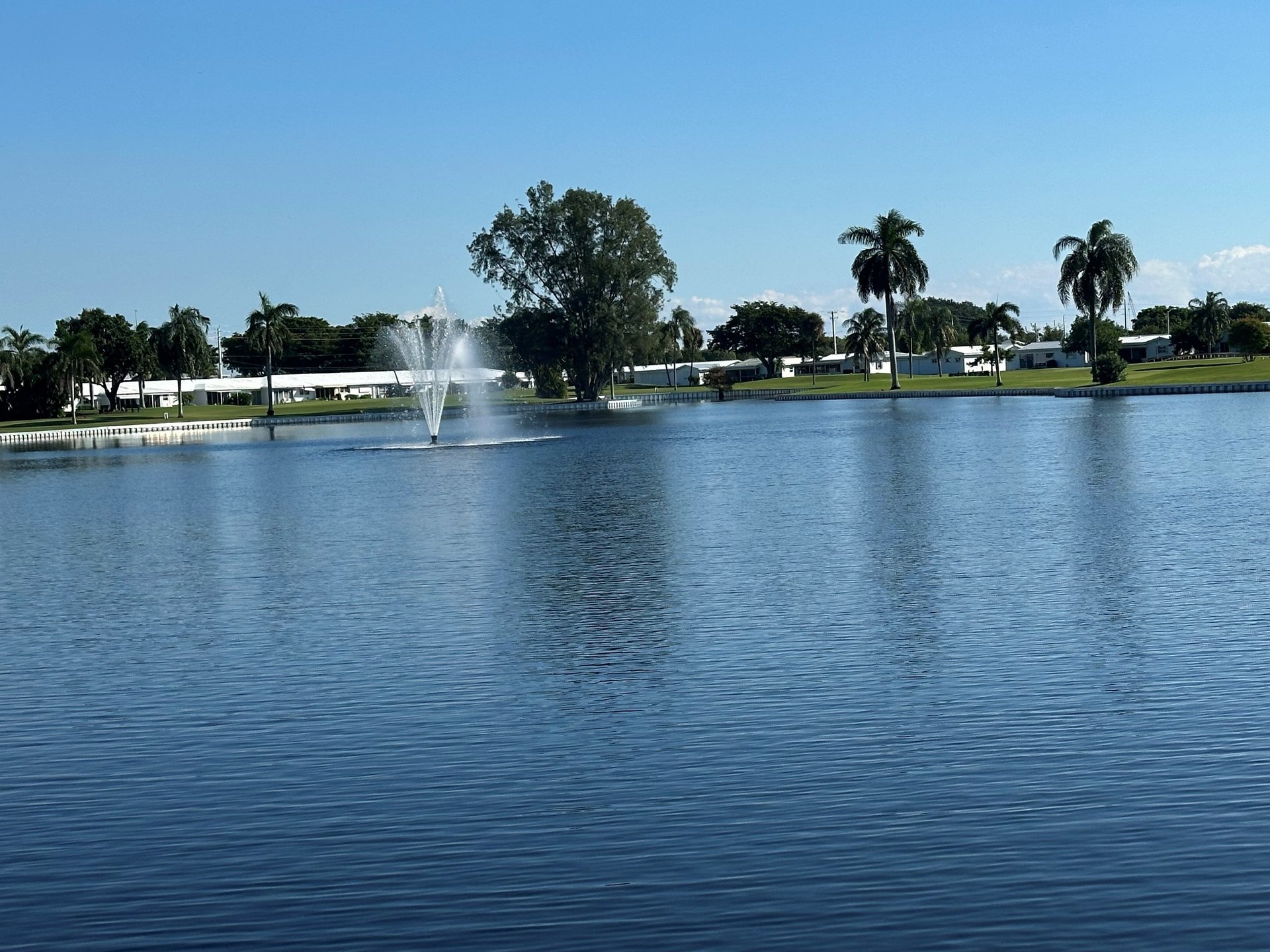 green grass field with trees during daytime