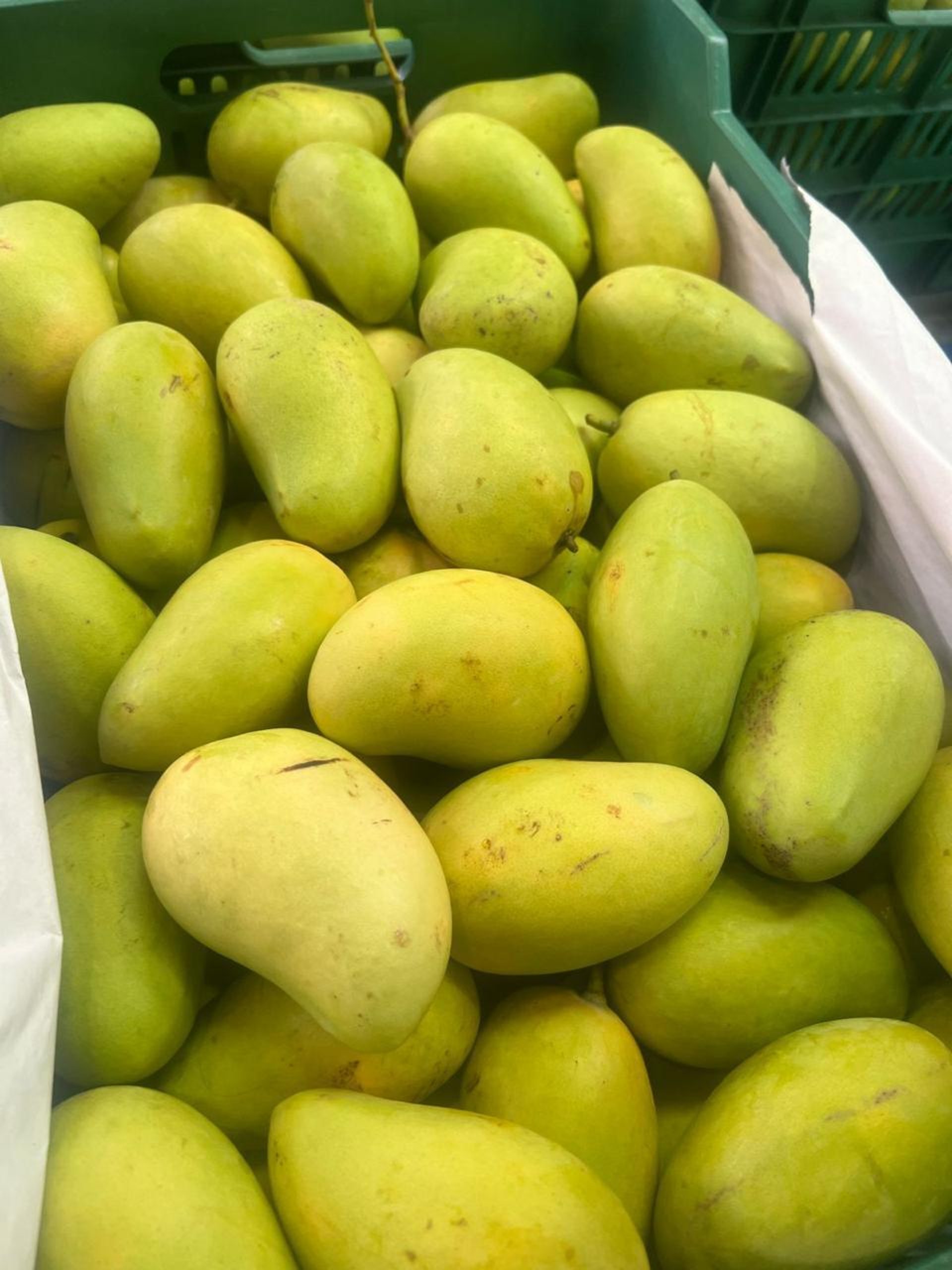 an abstract photo of a curved building with a blue sky in the background