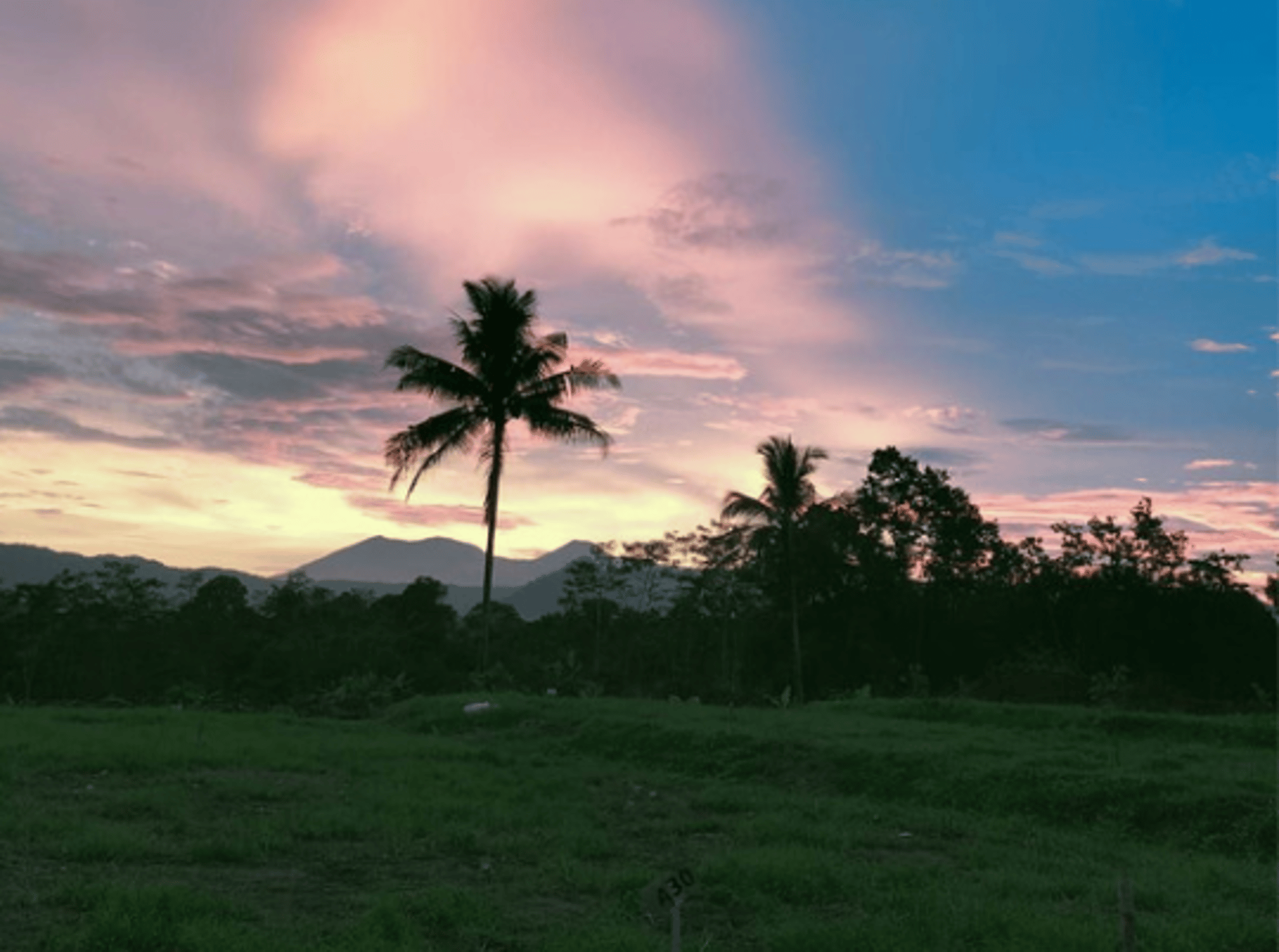 tanah kavling, investasi tanah kavling, strategi investasi tanah kavling, milenial, investasi properti
