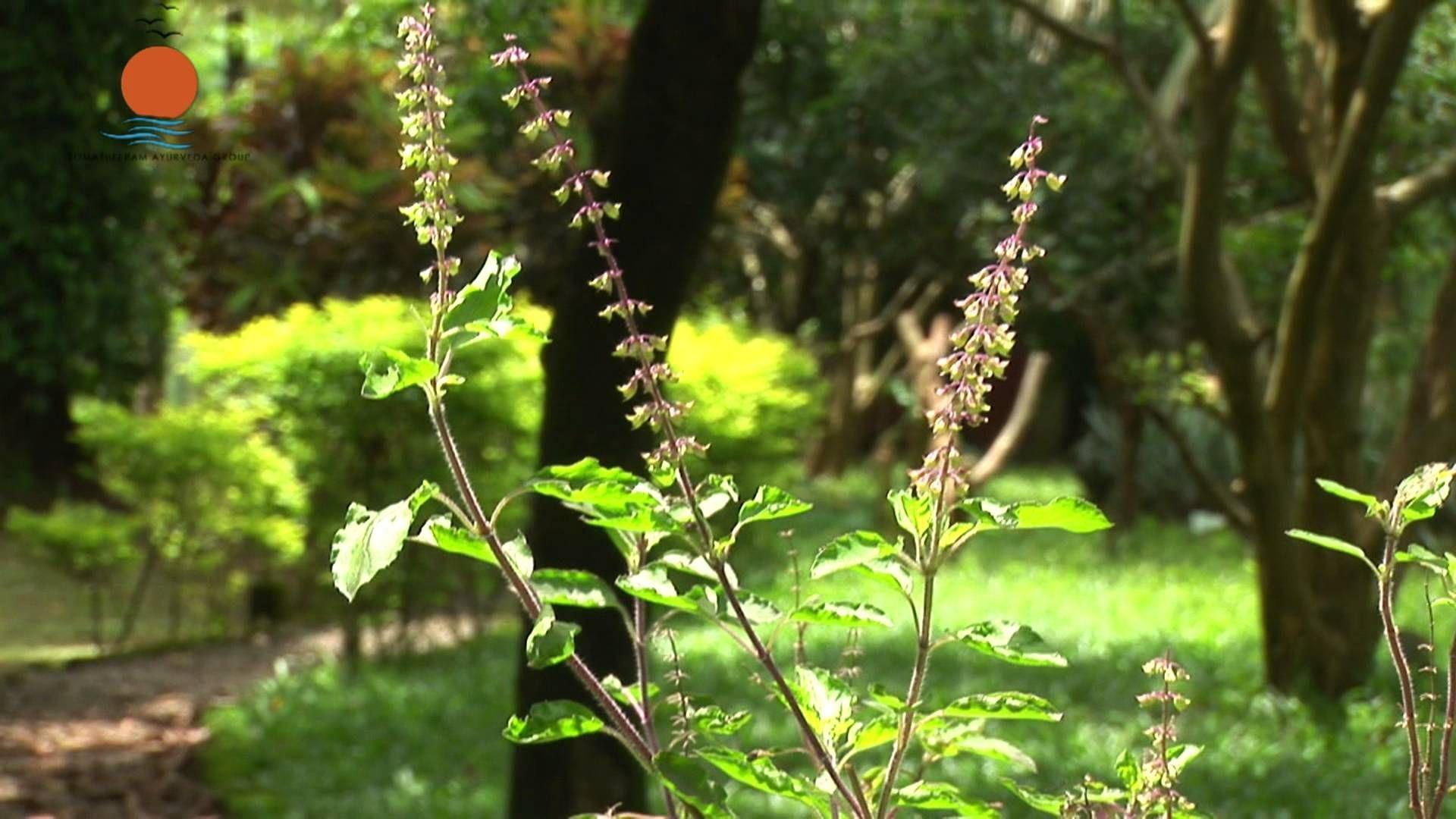gray computer monitor
