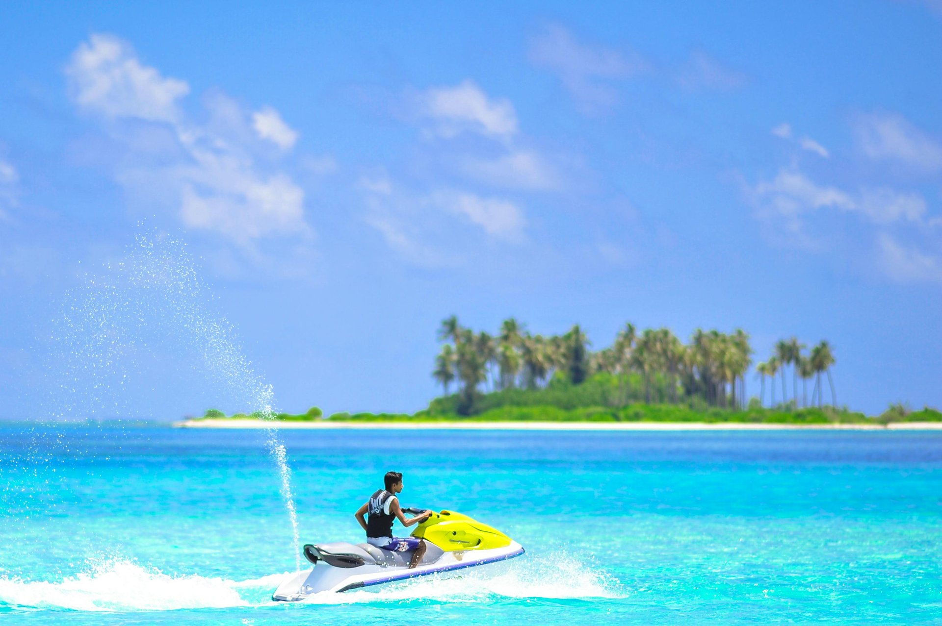 people parasailing