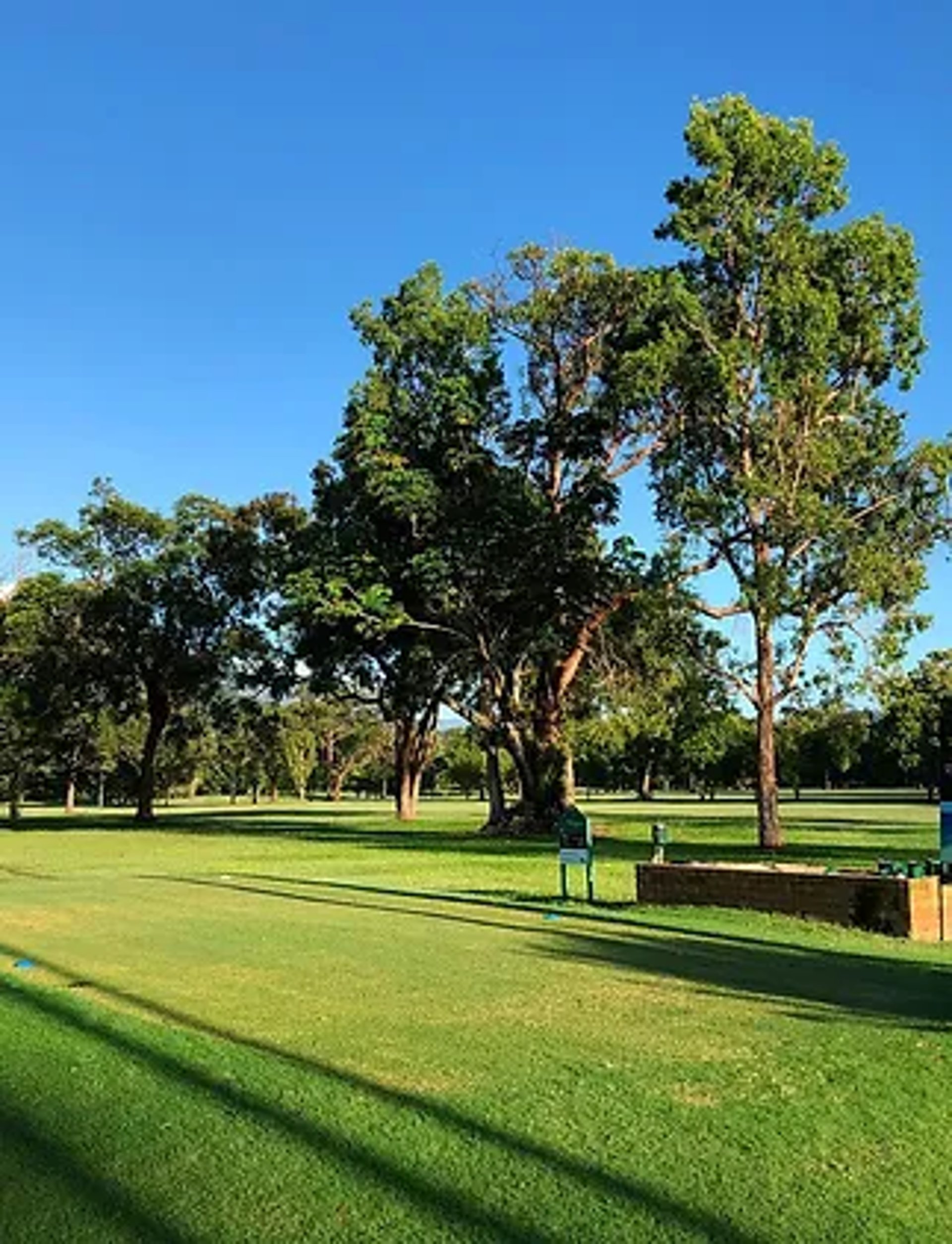 gray computer monitor