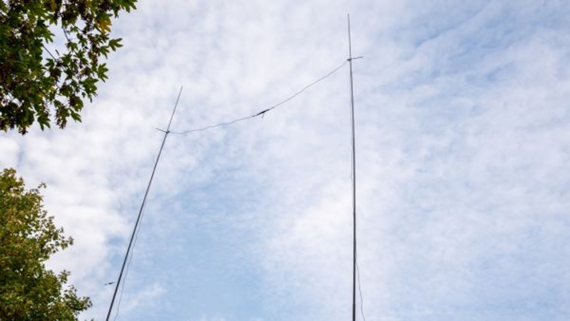 Pro Antennas Moxon 20m Vertical antenna erected on telescopic poles