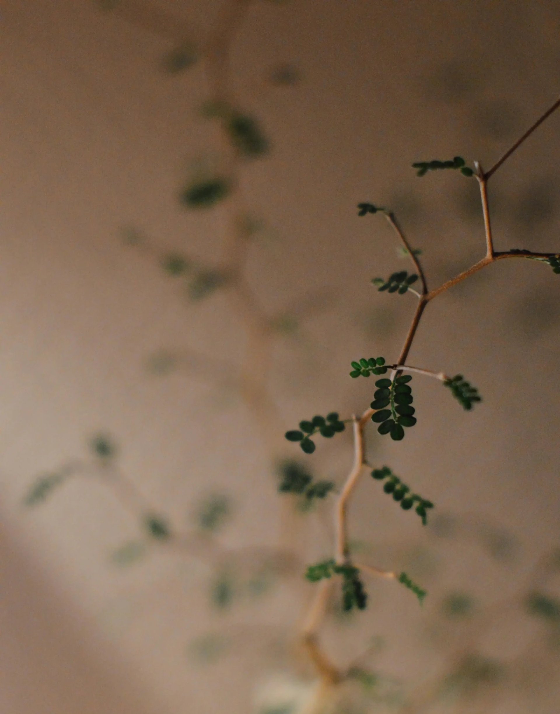 3 brown clay vases on white concrete table