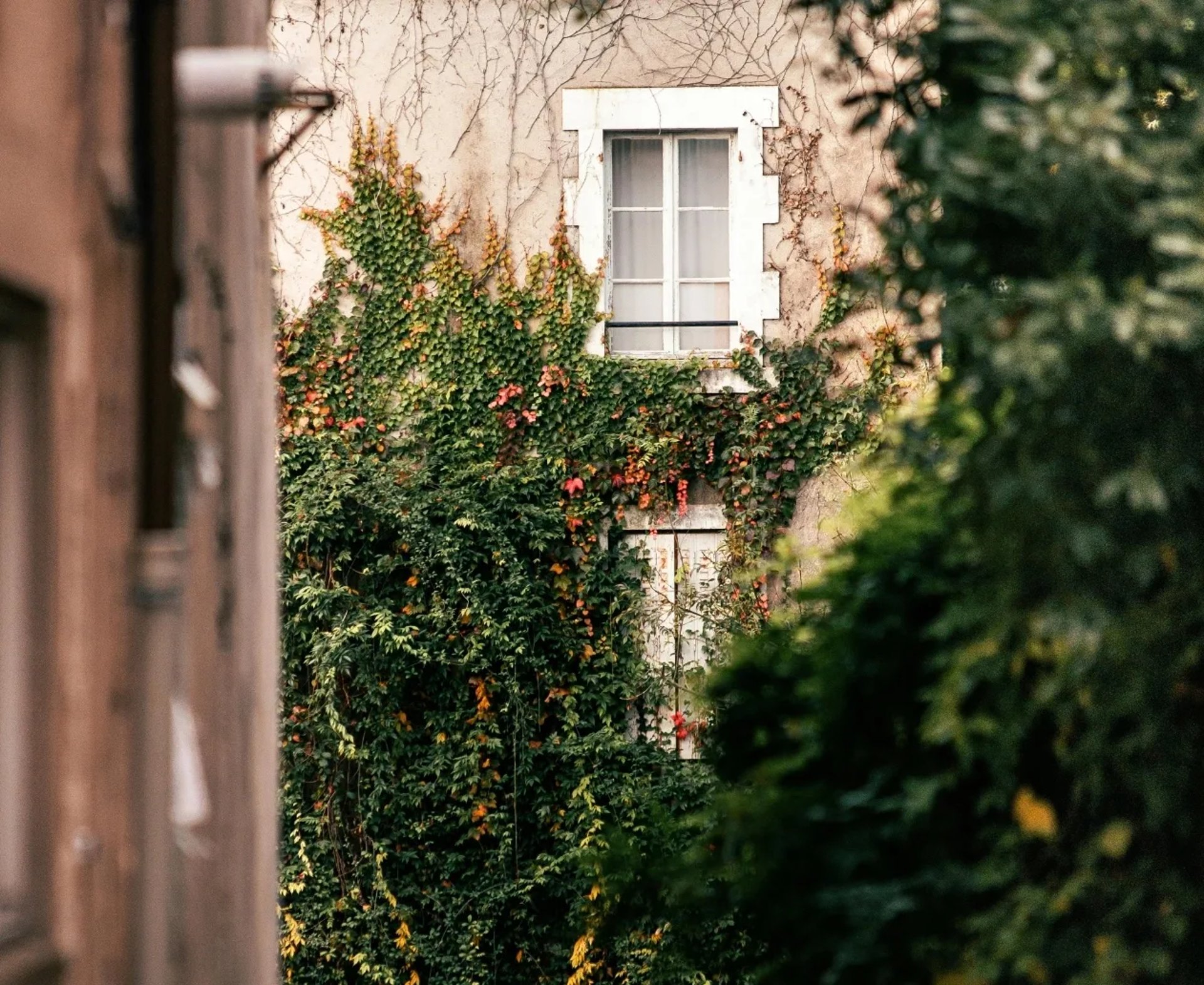 a white wall with shelves filled with various items