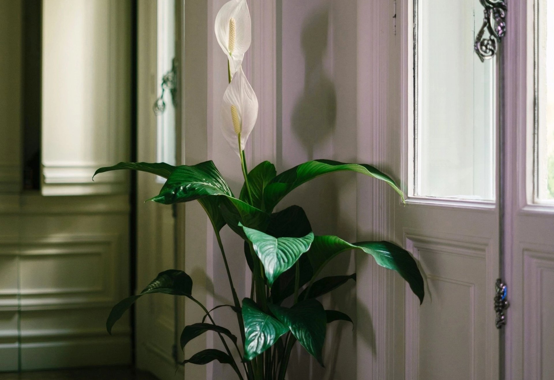 a laptop computer sitting on top of a wooden table