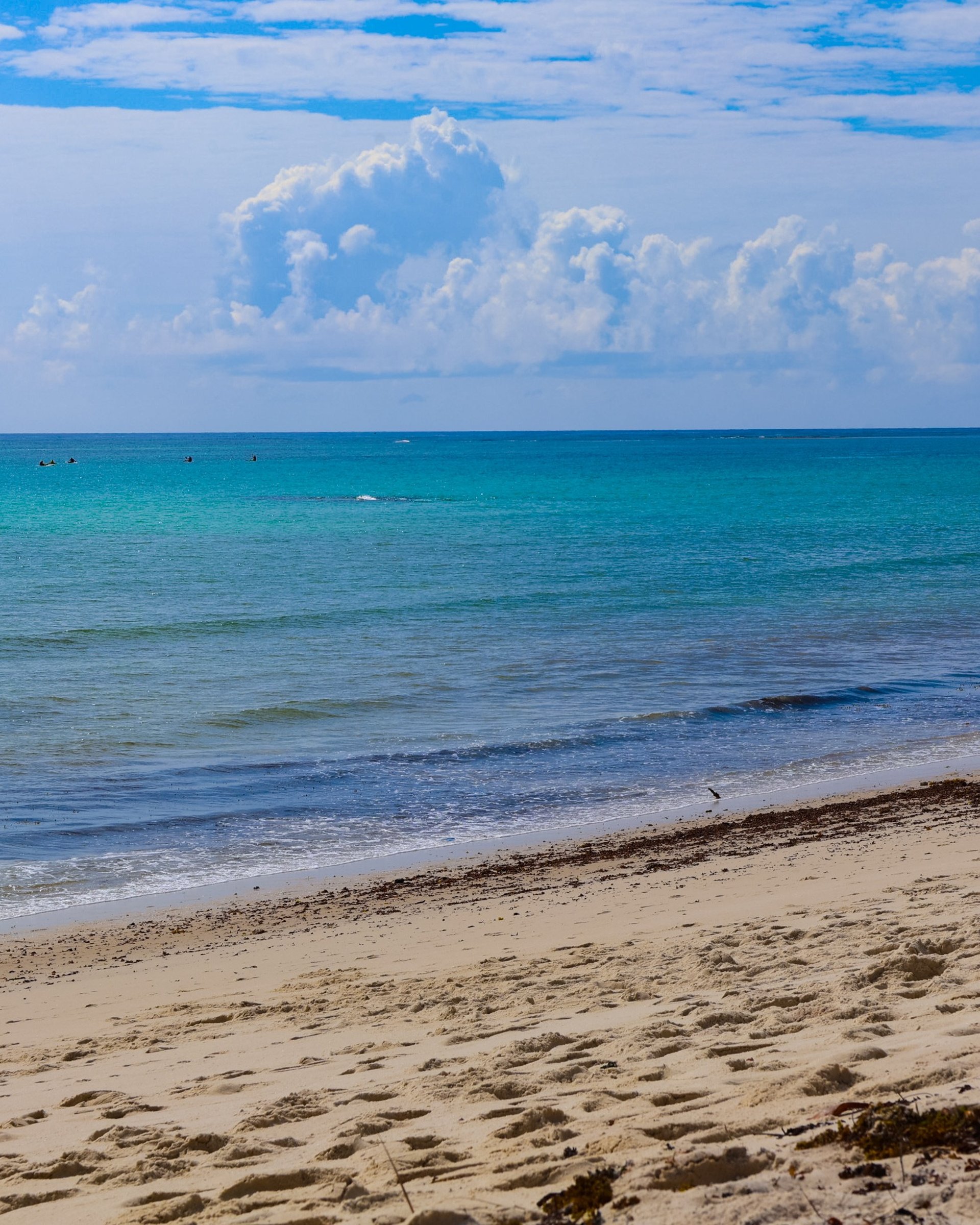 an abstract photo of a curved building with a blue sky in the background