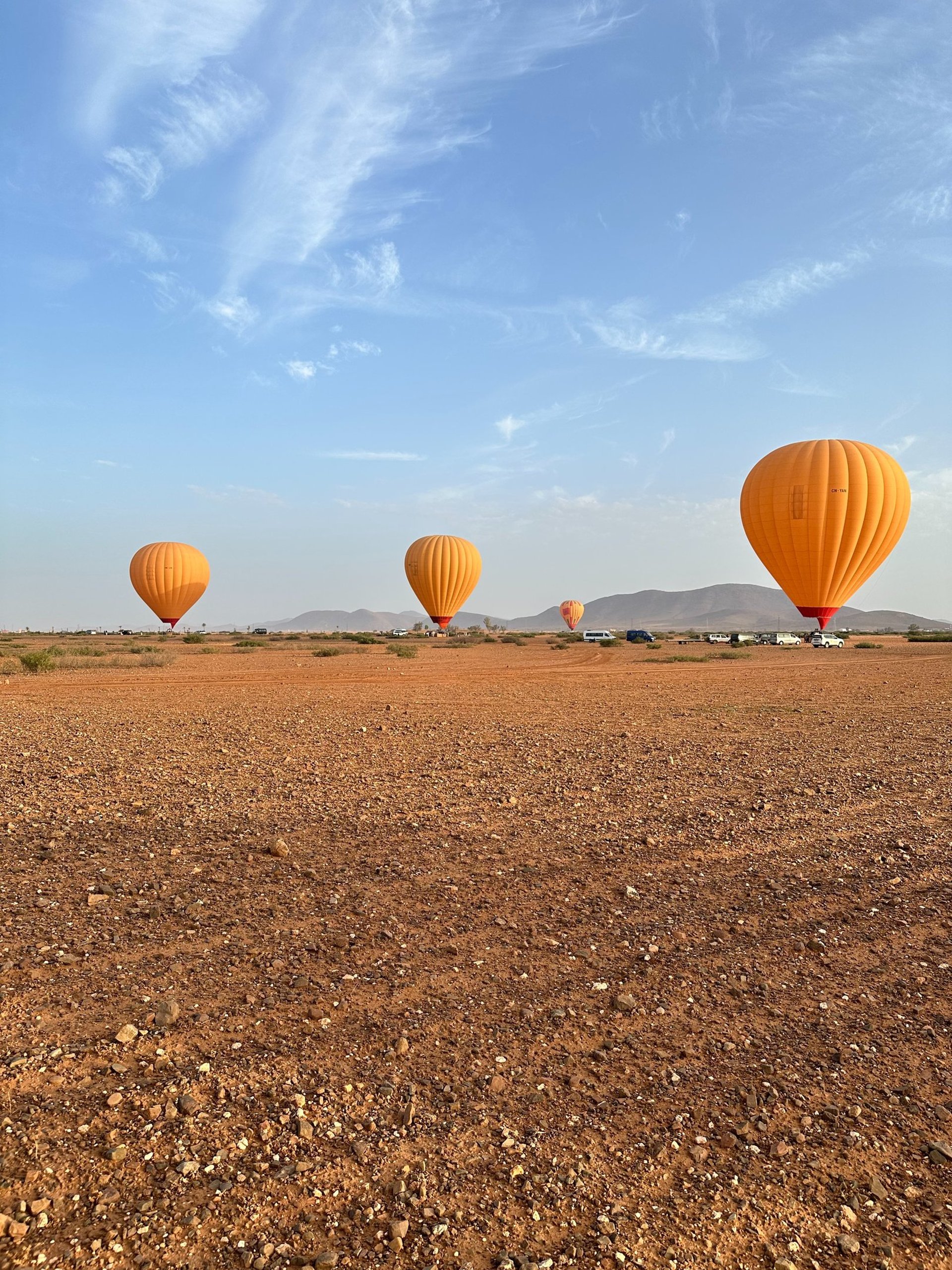 an abstract photo of a curved building with a blue sky in the background