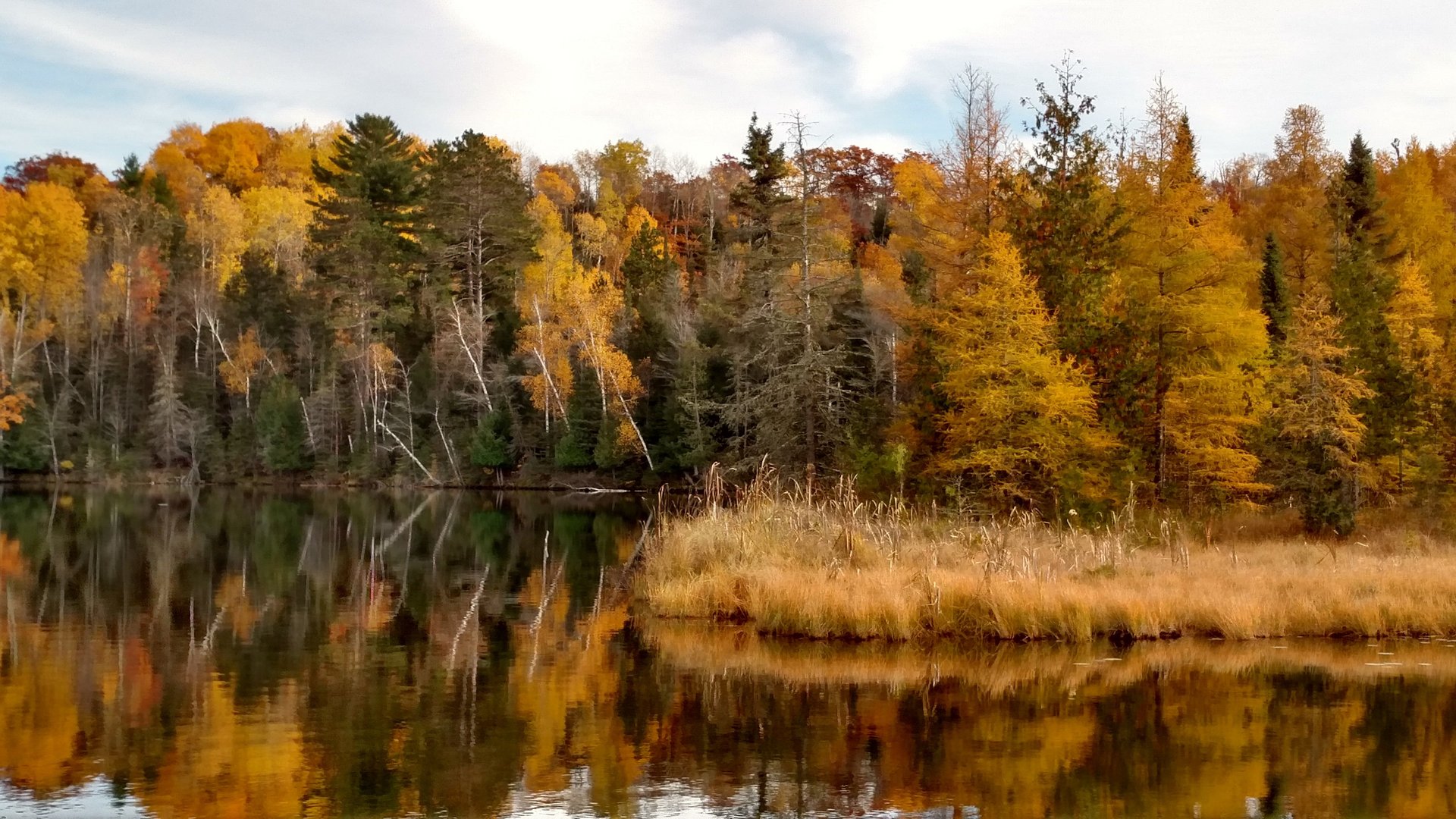 woman wearing yellow long-sleeved dress under white clouds and blue sky during daytime
