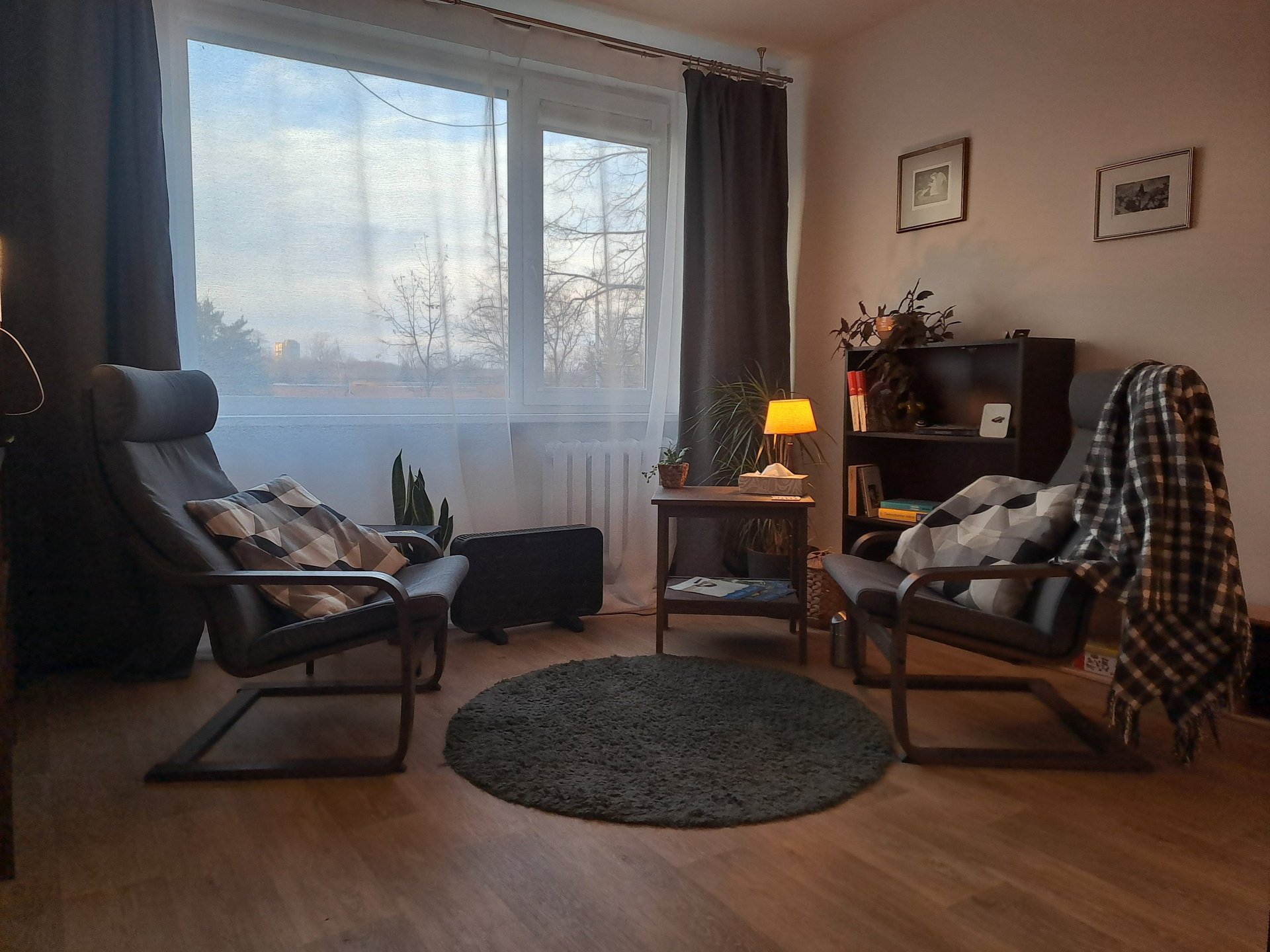 macro photography of dandelion