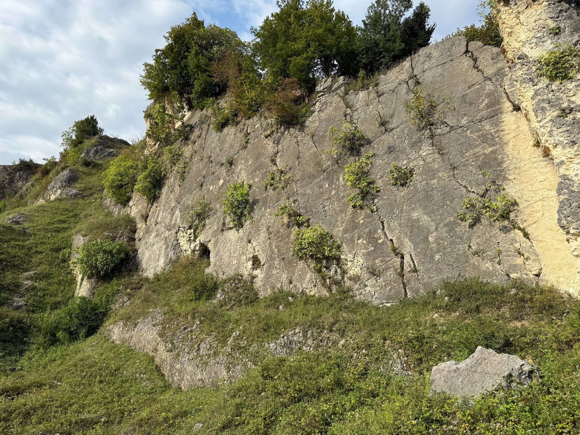 woman wearing yellow long-sleeved dress under white clouds and blue sky during daytime
