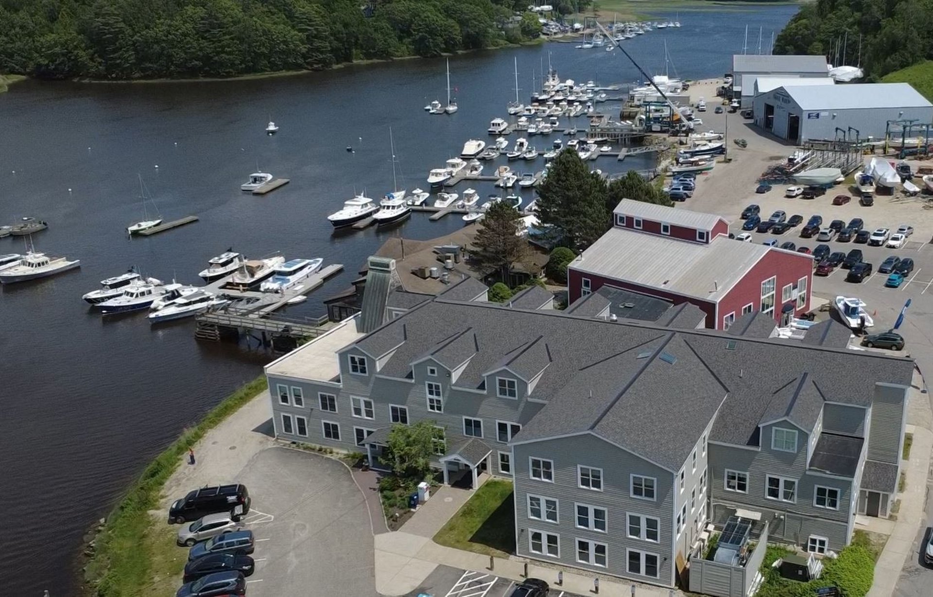 an aerial view of a forest with lots of trees