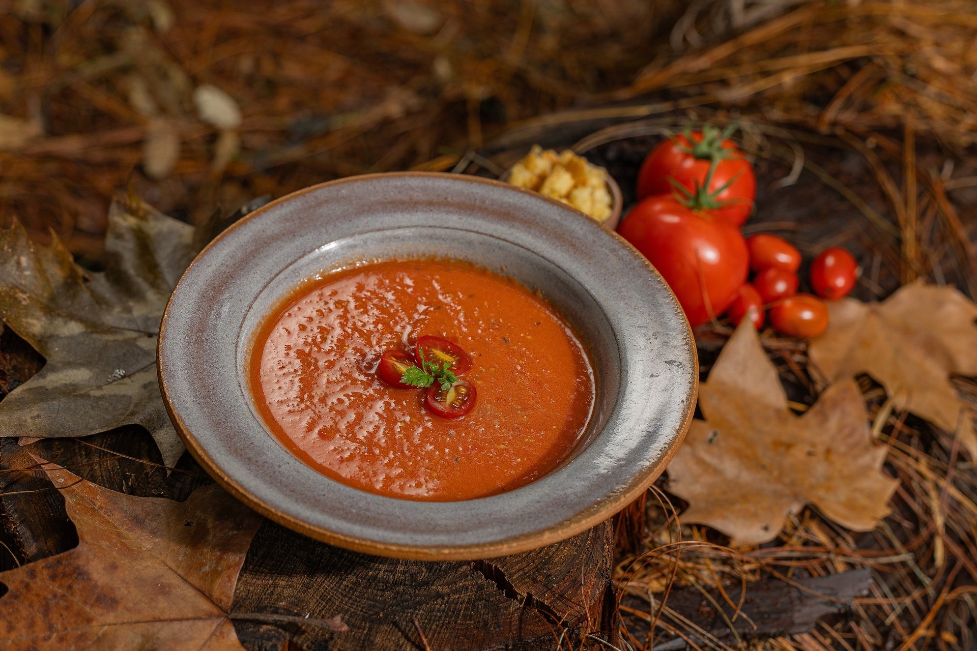 Bruschetta de tomate e manjericão. Foto: Carol Gherardi/ livro Natal Feliz