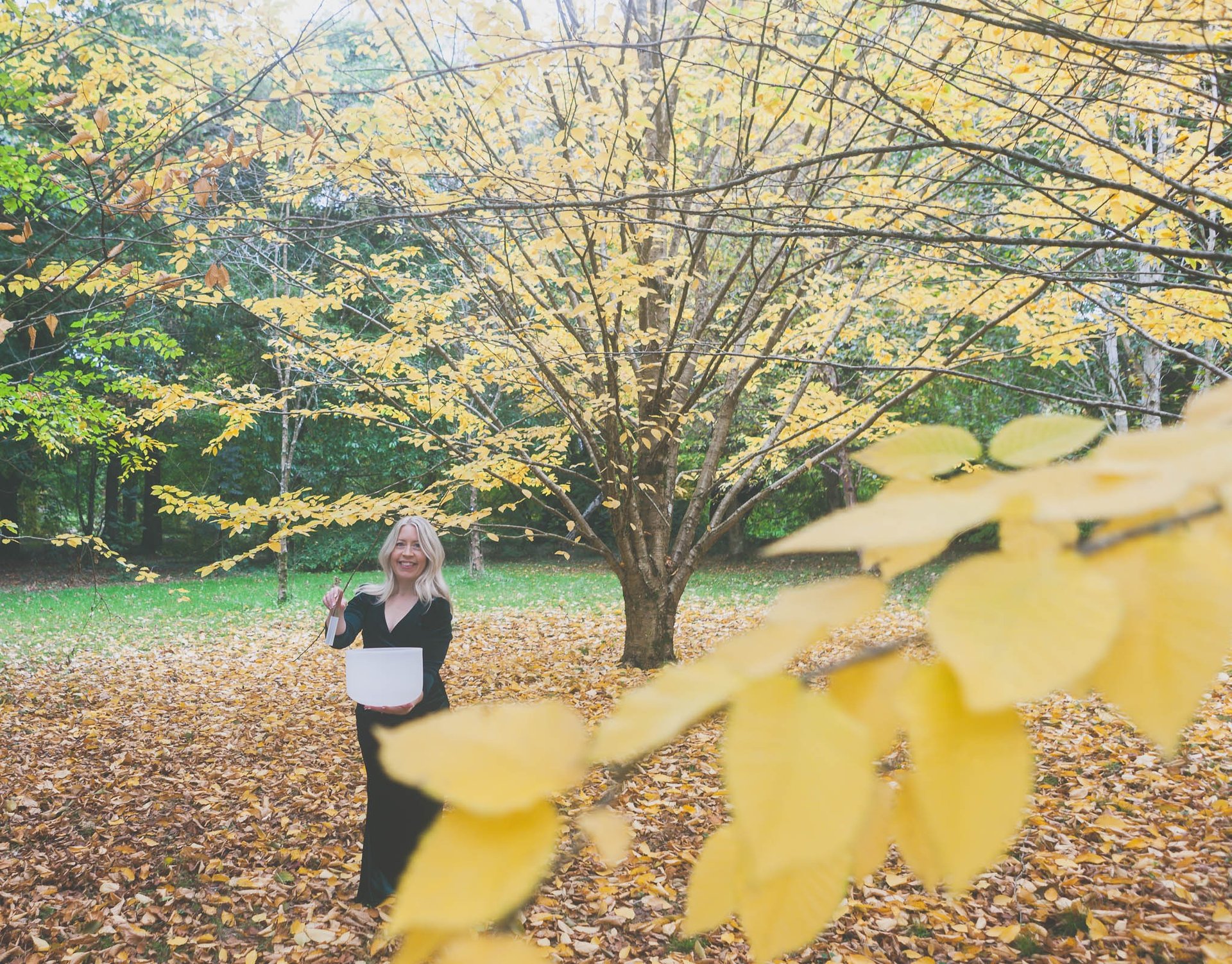 landscape photography of brown mountains