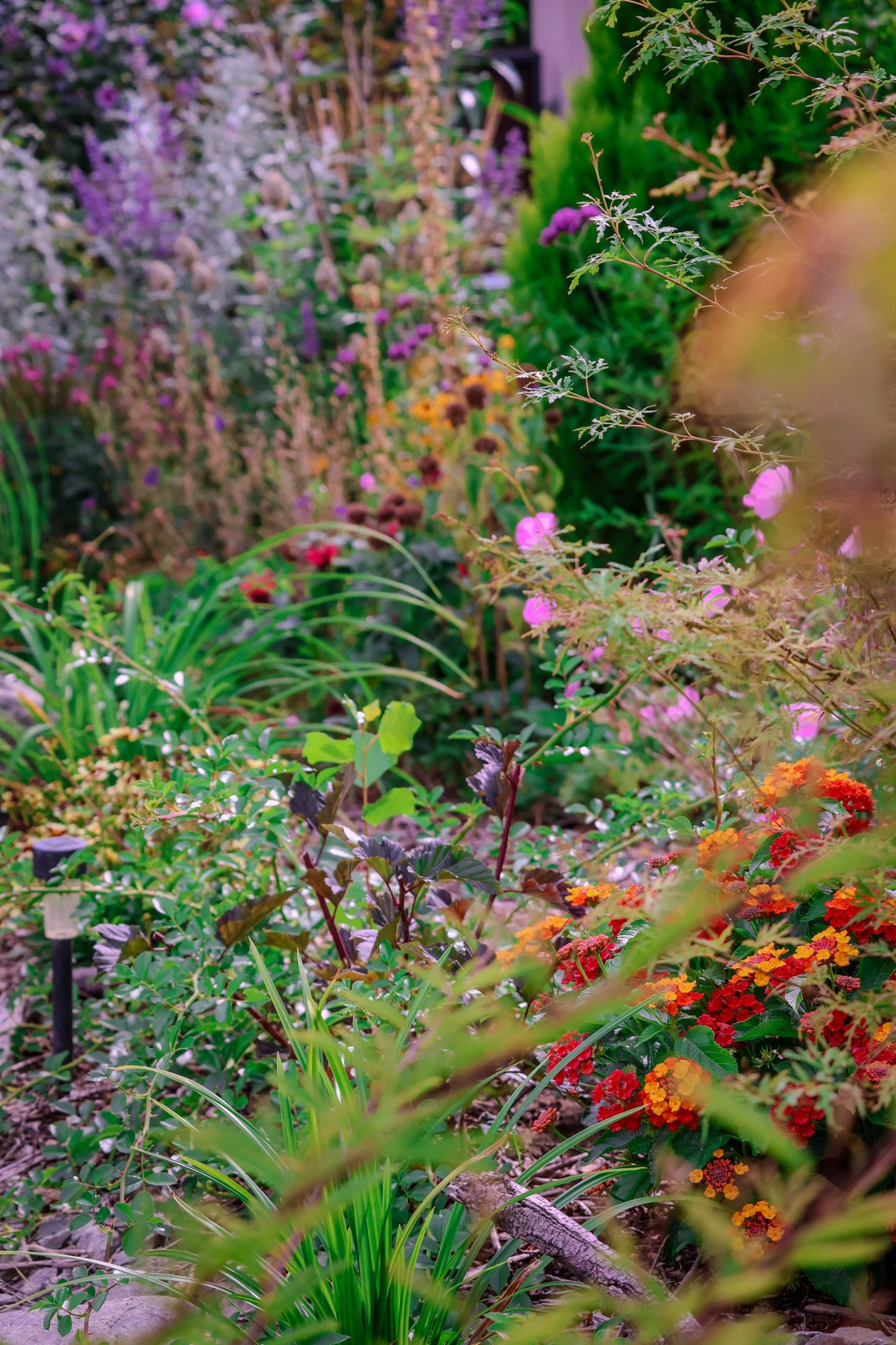 black and brown leather padded tub sofa