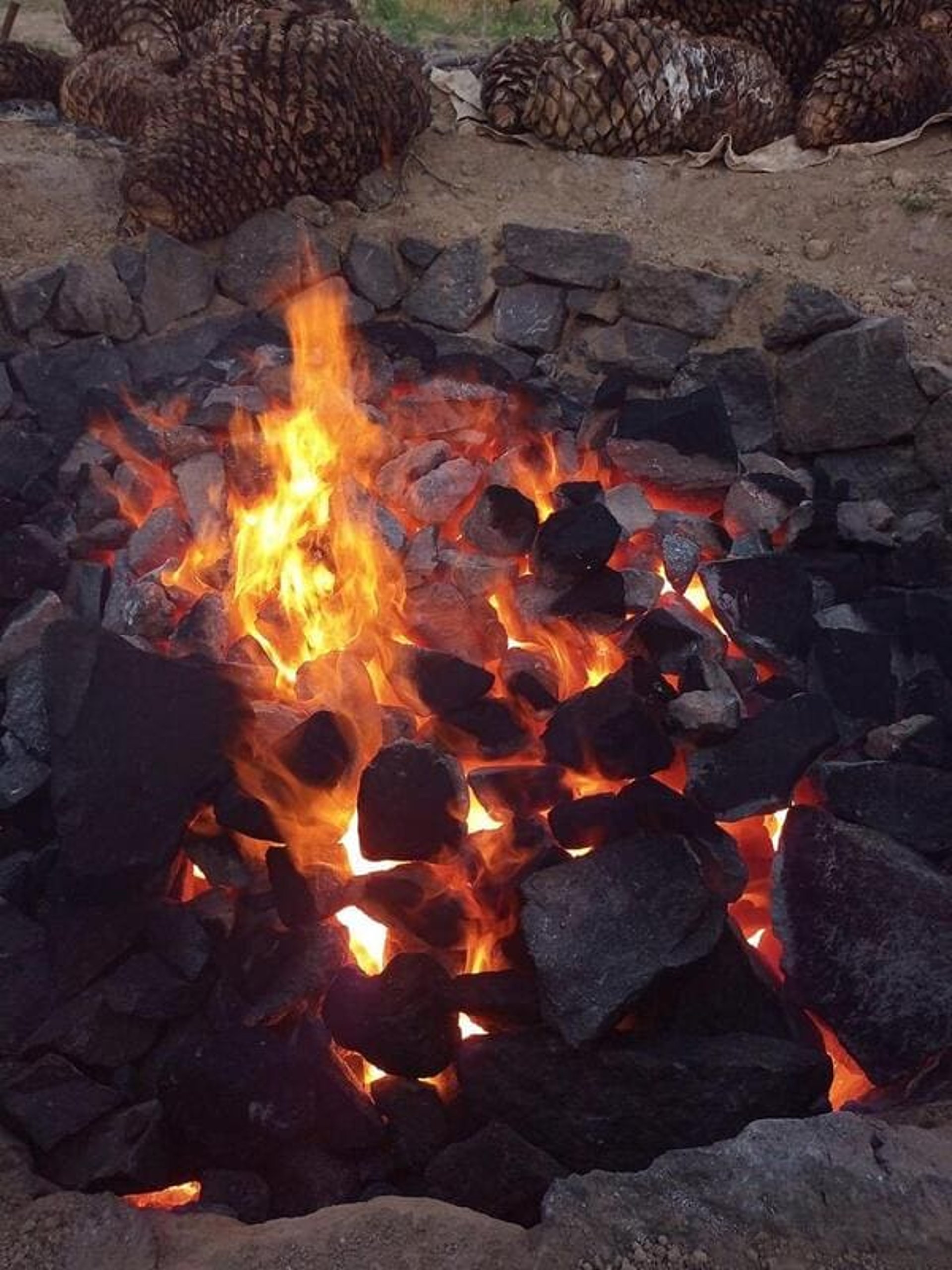 proceso paso a paso del mezcal artesanal