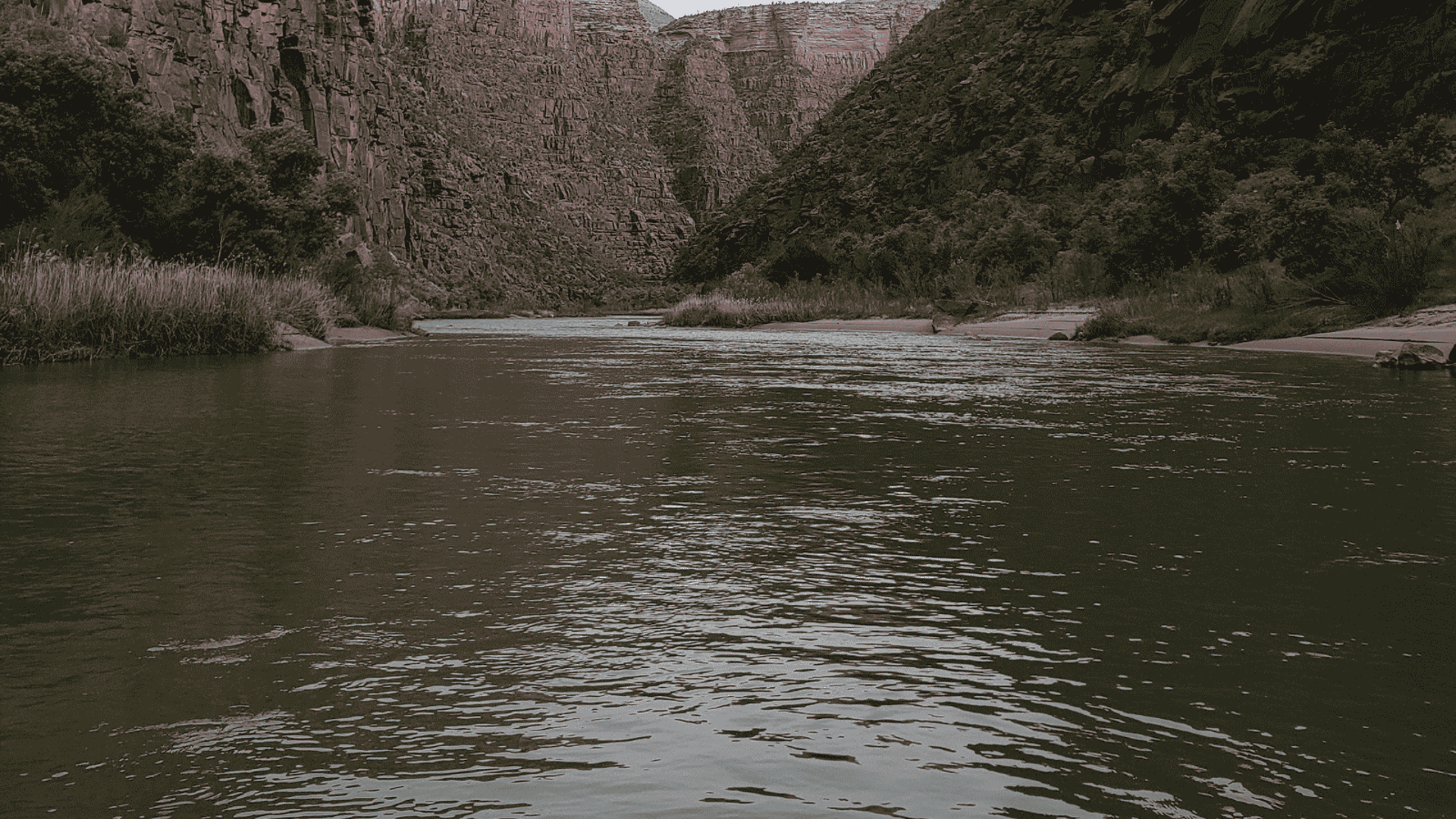 an abstract photo of a curved building with a blue sky in the background