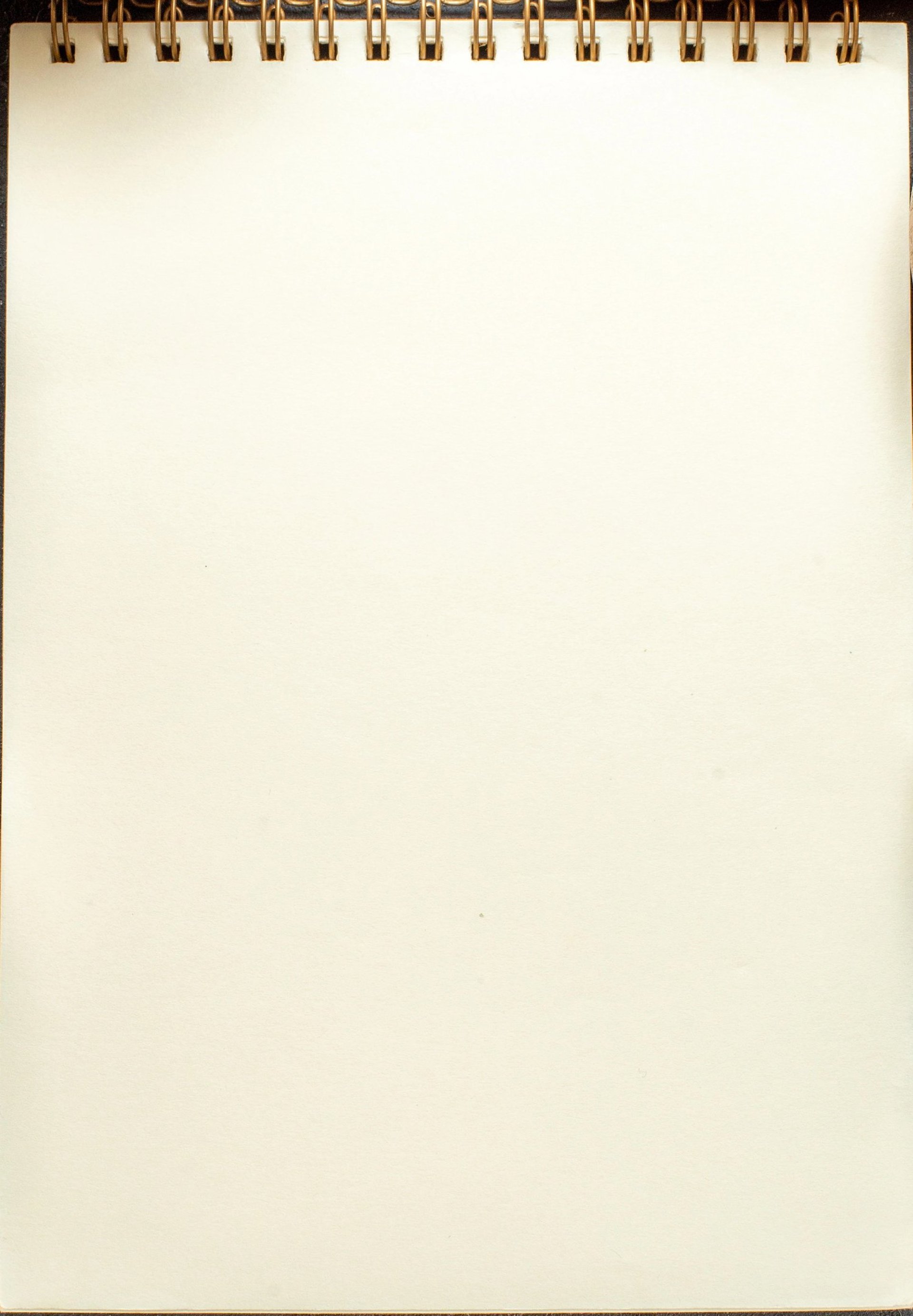 a white wooden wall with a plant on top of it