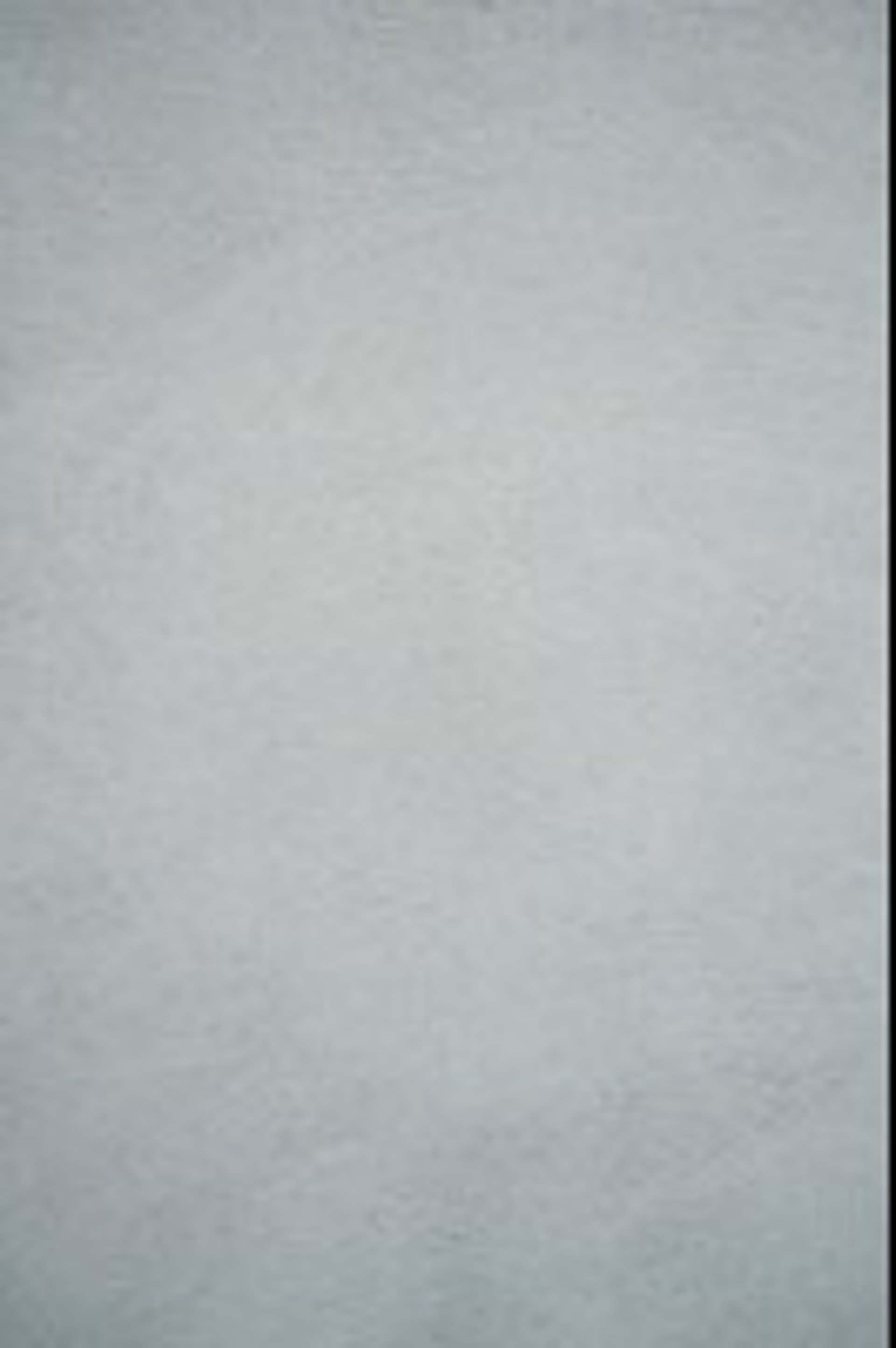 gray concrete painted wall