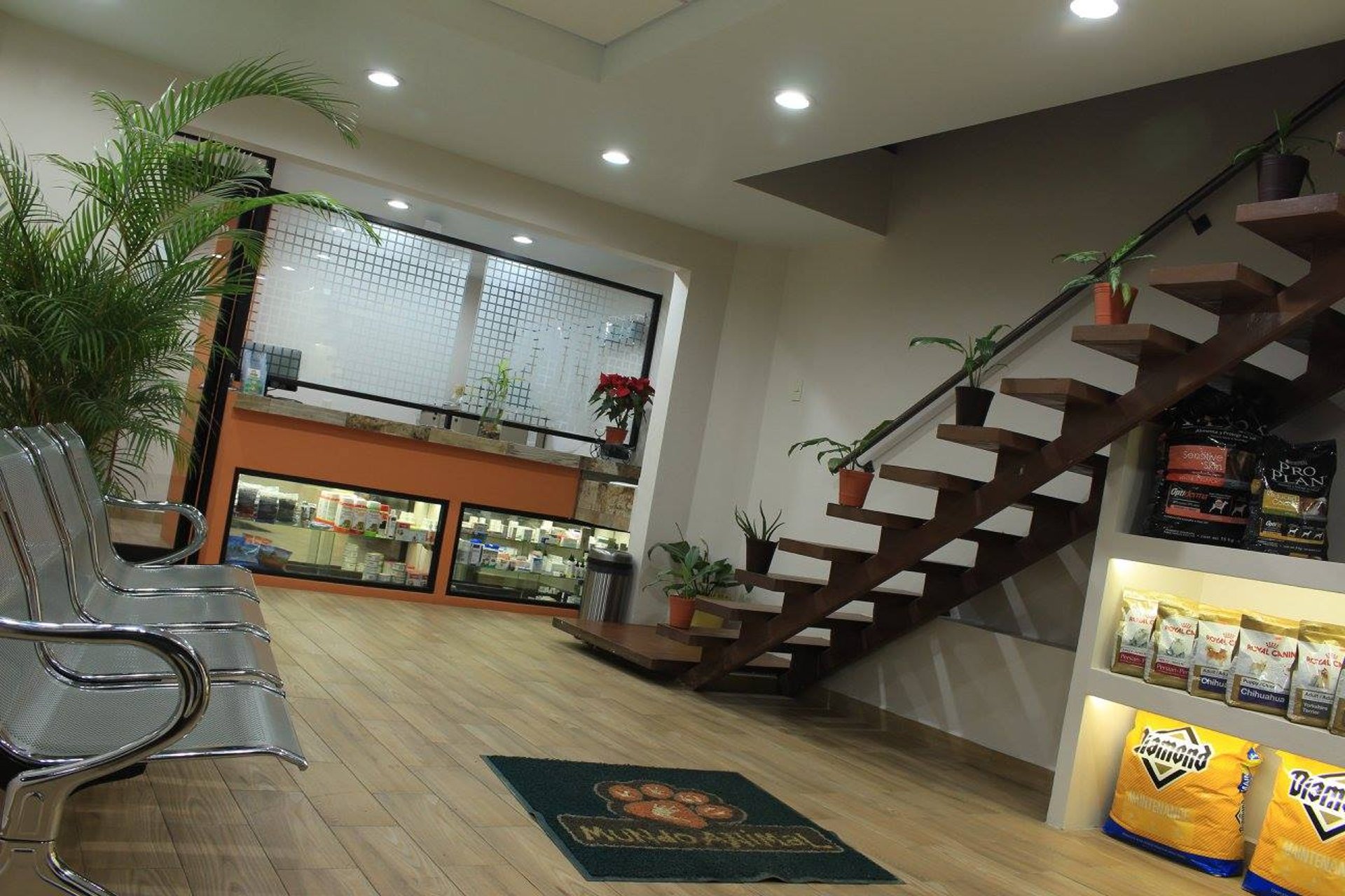 woman wearing yellow long-sleeved dress under white clouds and blue sky during daytime