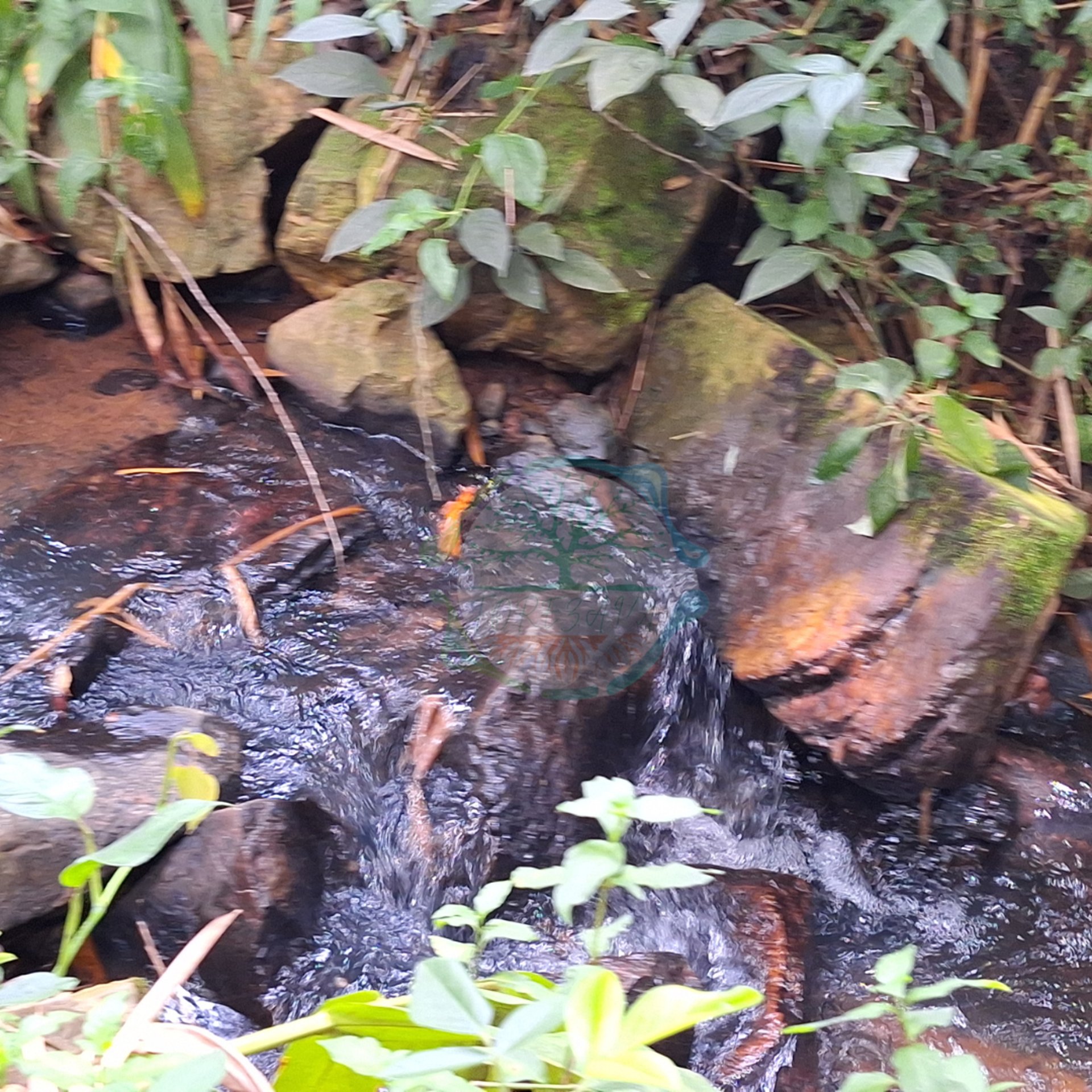 mountain range under blue sky