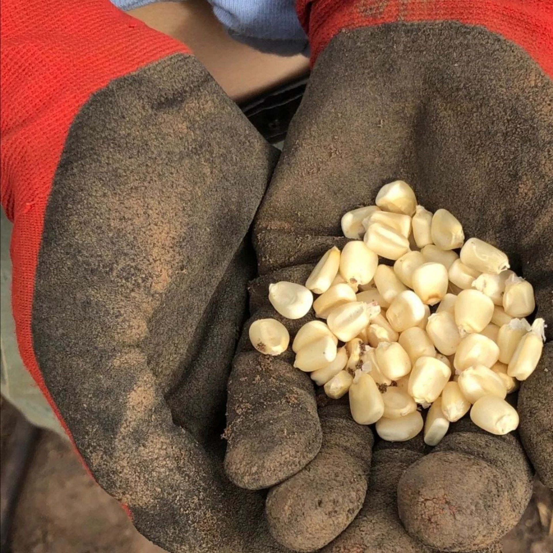 gray computer monitor