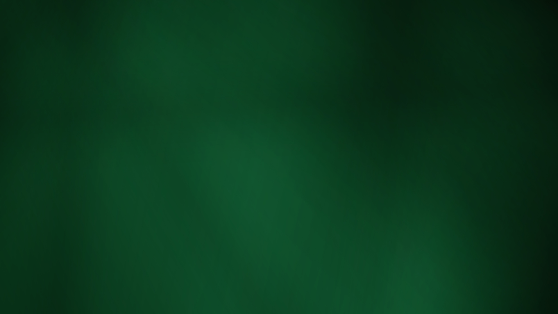 close-up photography of grasses