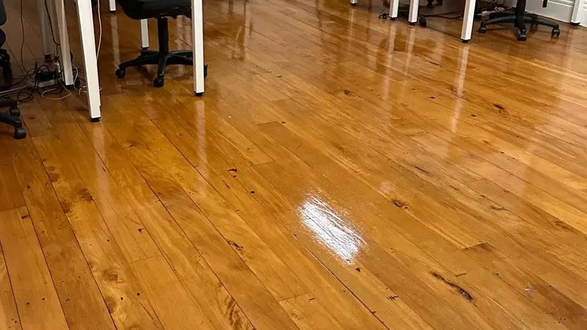 Commercial cleaning team in Wellington