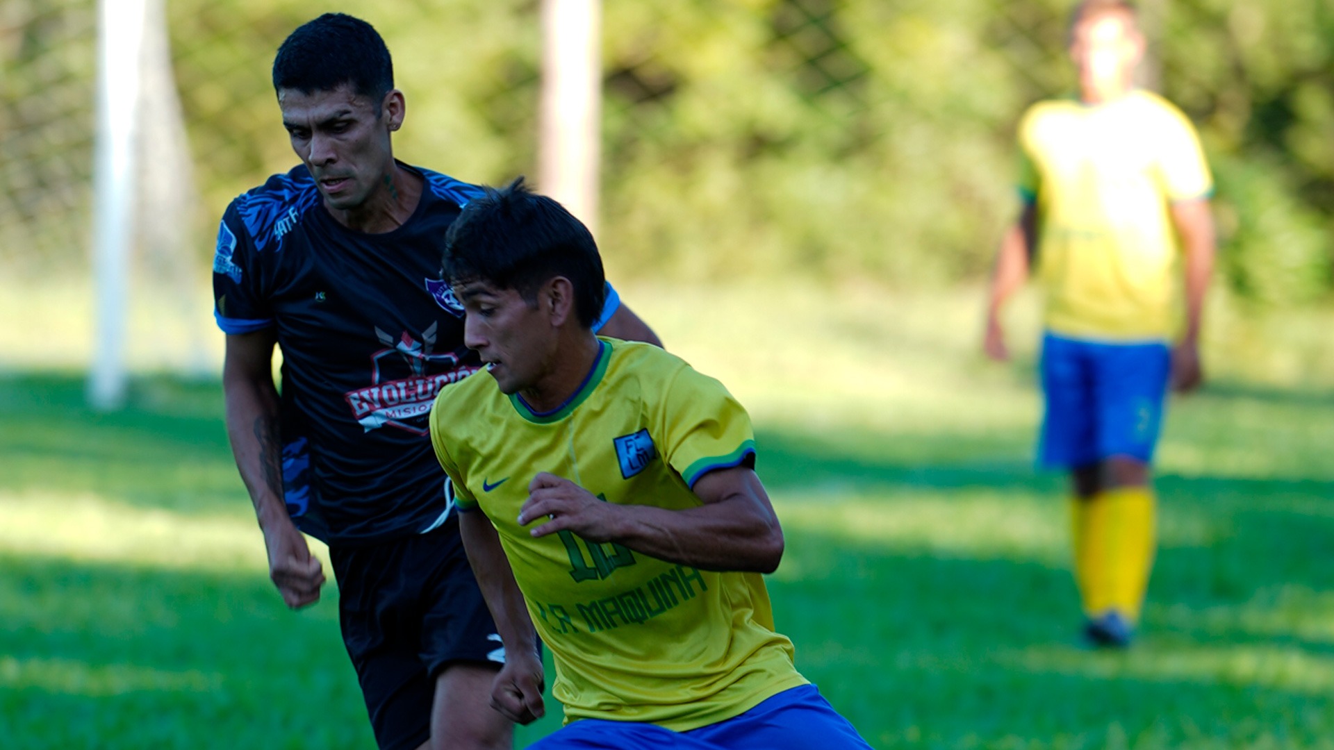 waterfalls near green grass field during daytime