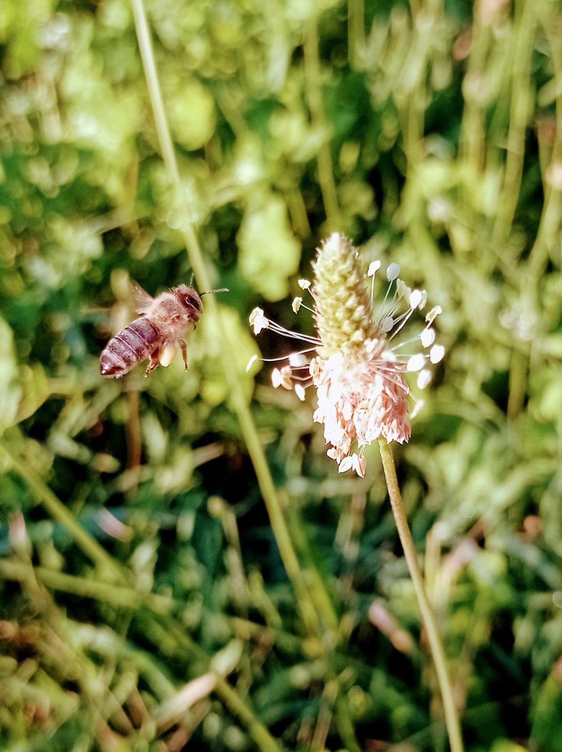 an abstract photo of a curved building with a blue sky in the background