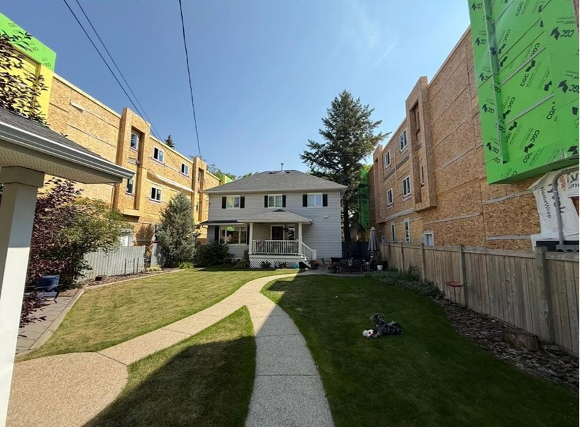 gray computer monitor