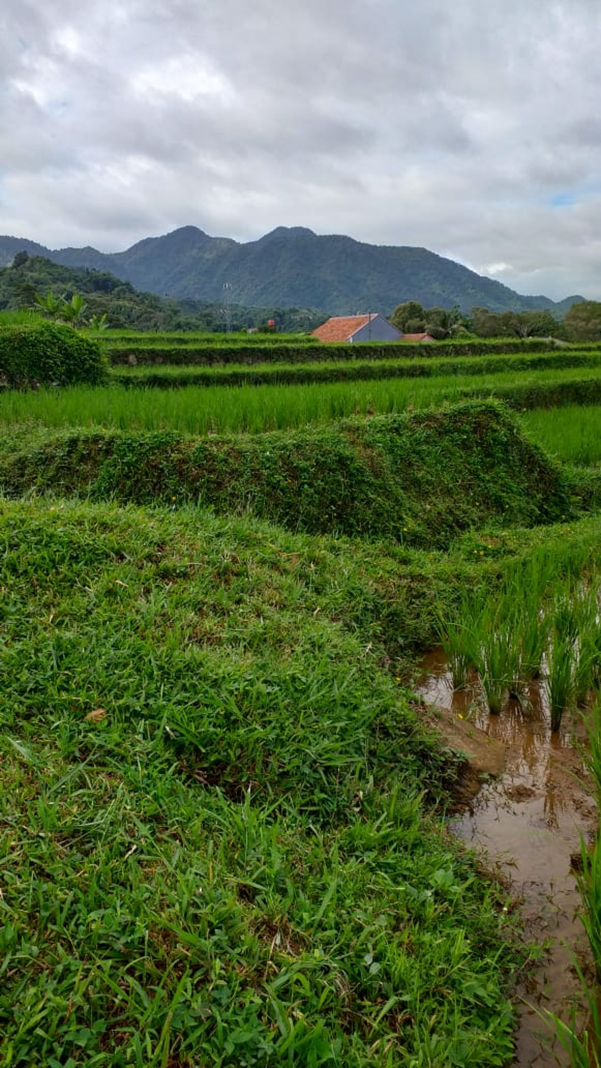 an abstract photo of a curved building with a blue sky in the background