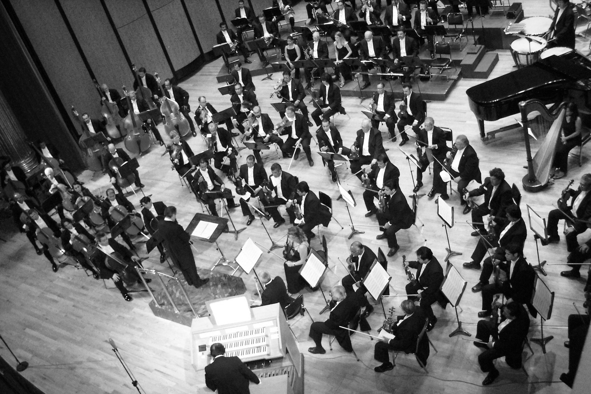 grayscale photography of orchestra playing on theatre