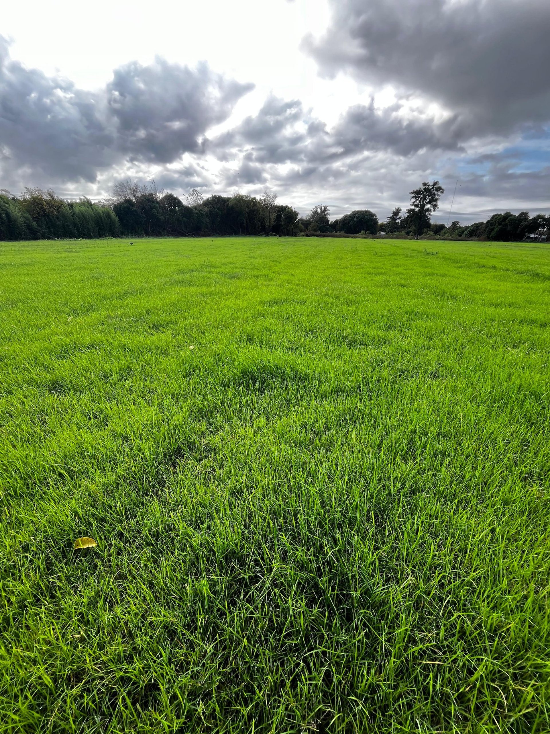 woman wearing yellow long-sleeved dress under white clouds and blue sky during daytime