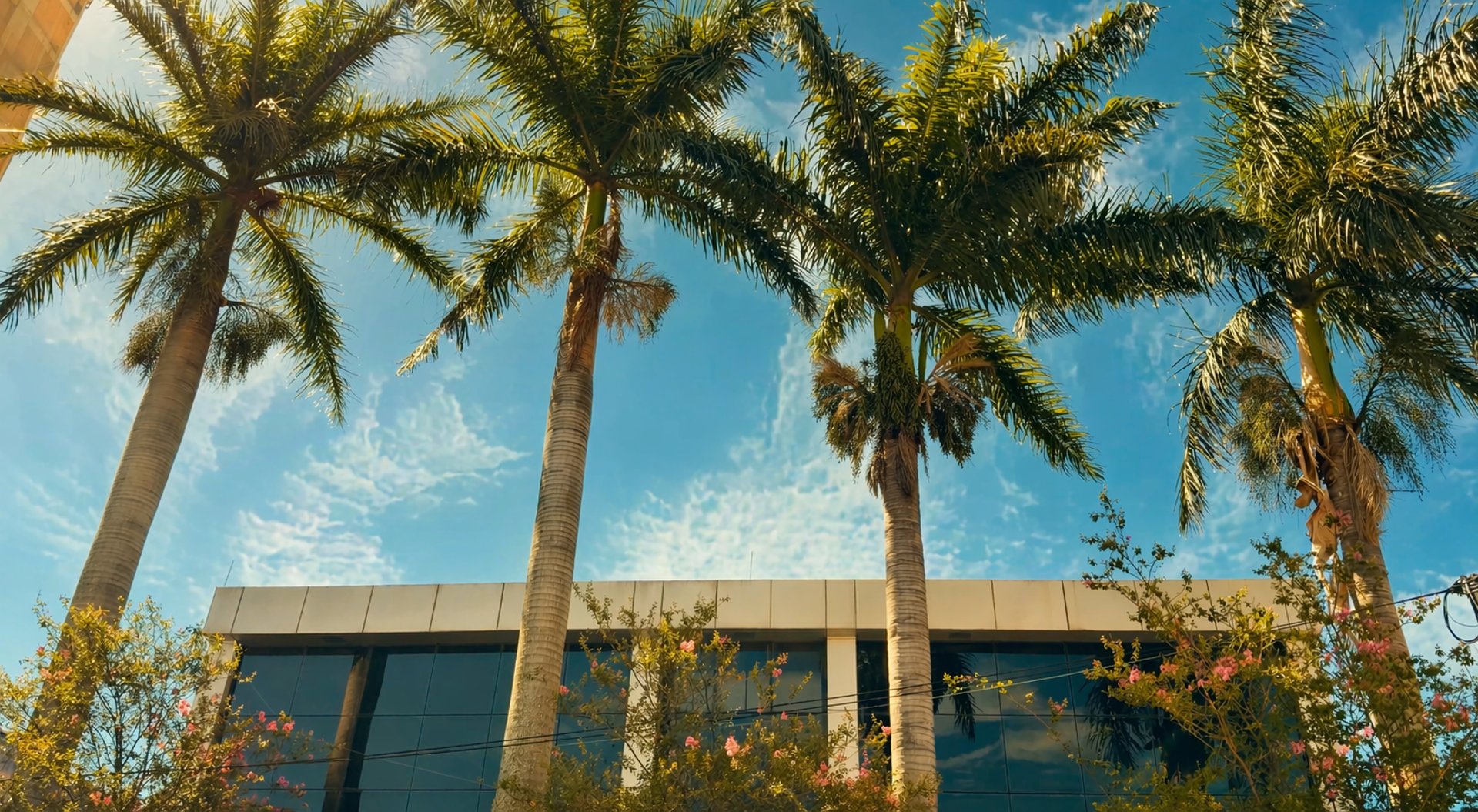 an abstract photo of a curved building with a blue sky in the background