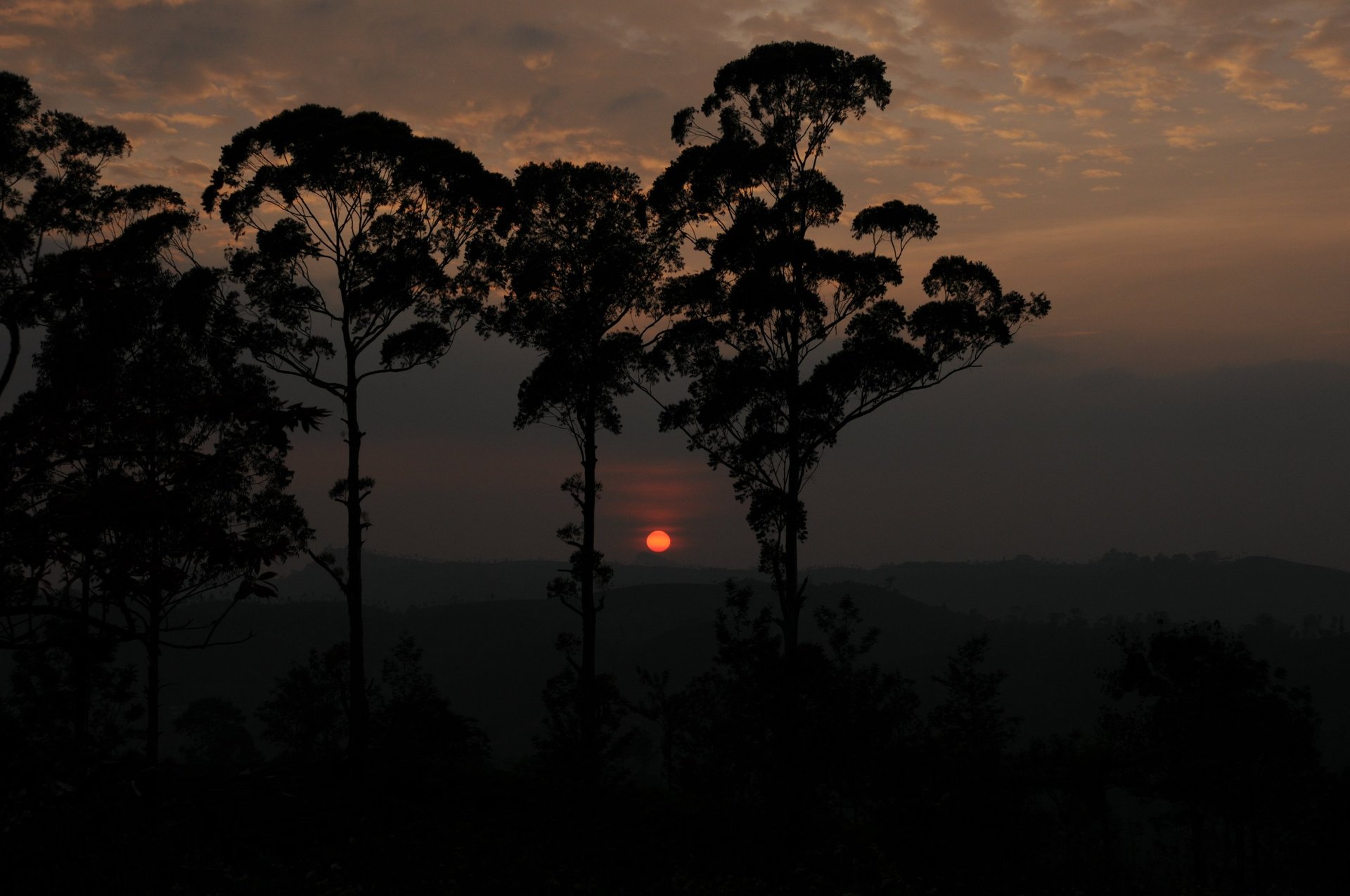 black and white bed linen