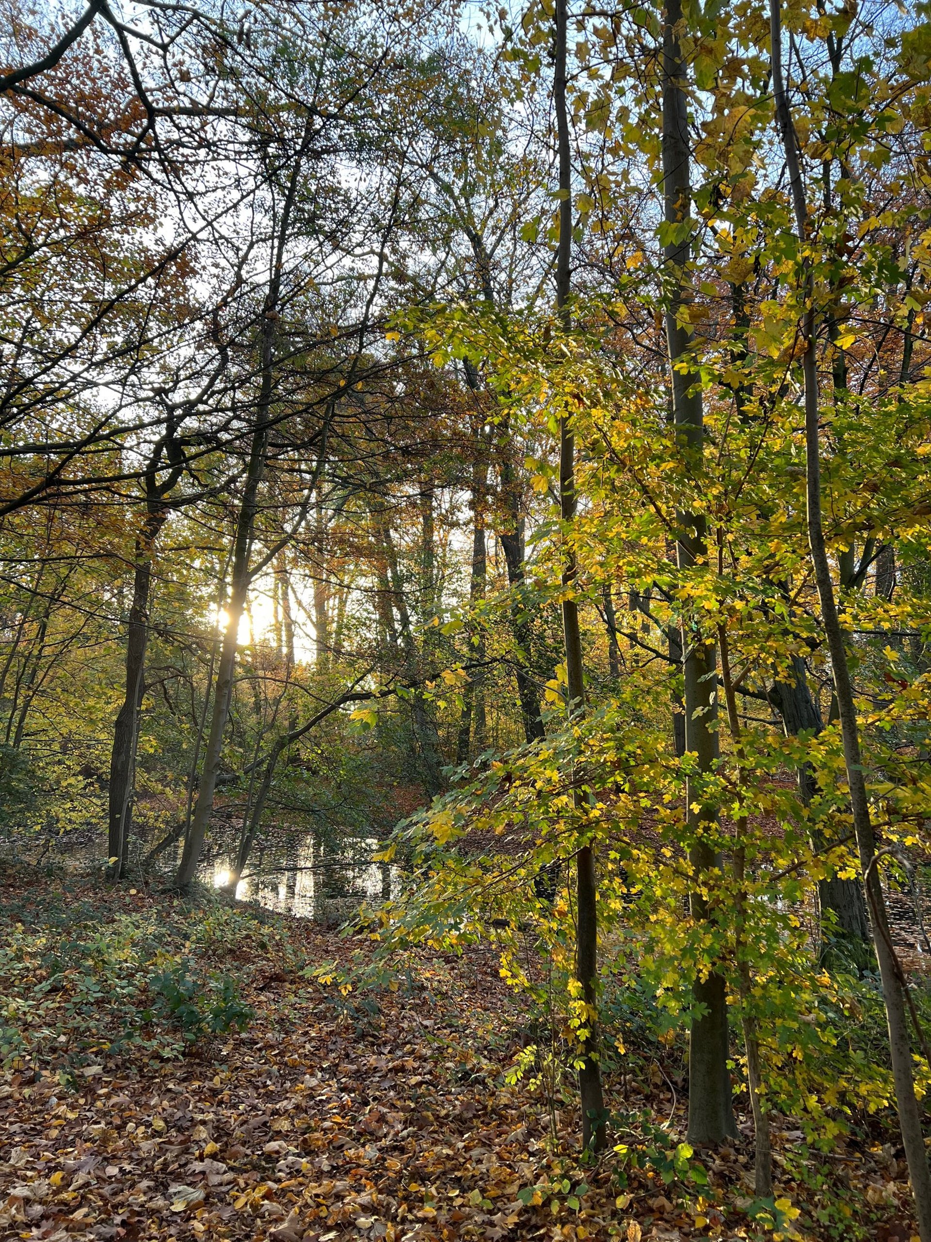 black blue and yellow textile