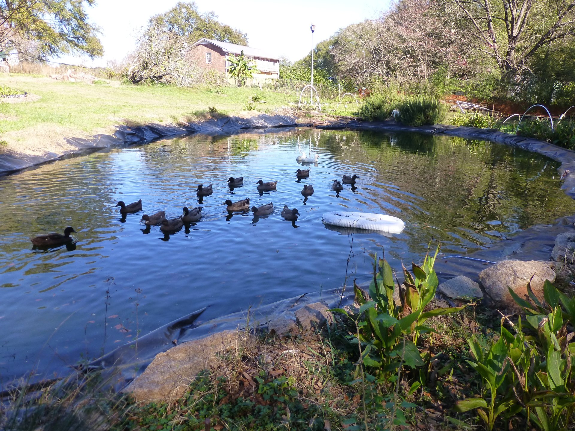black and white bed linen