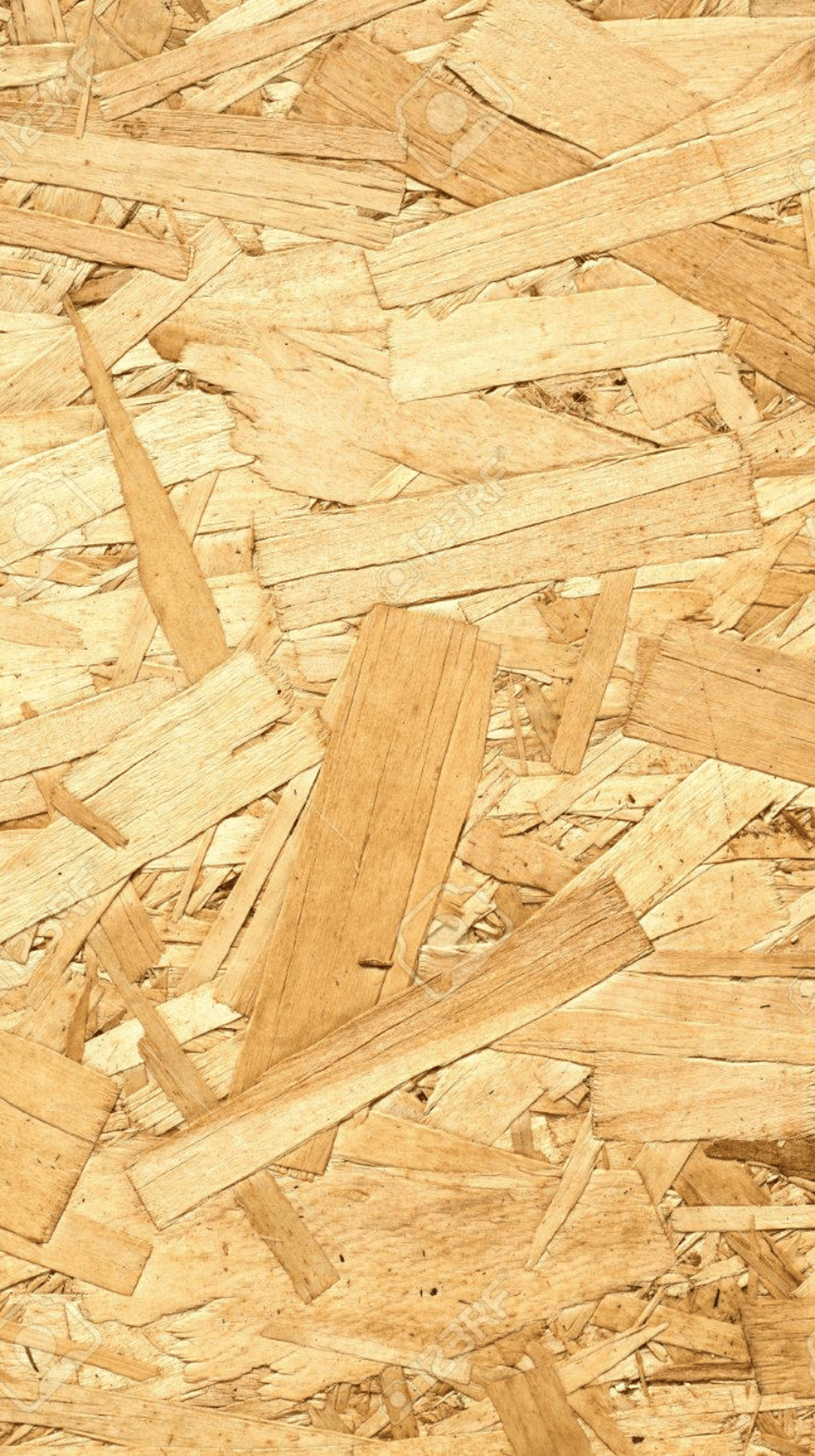 file of firebwood lot